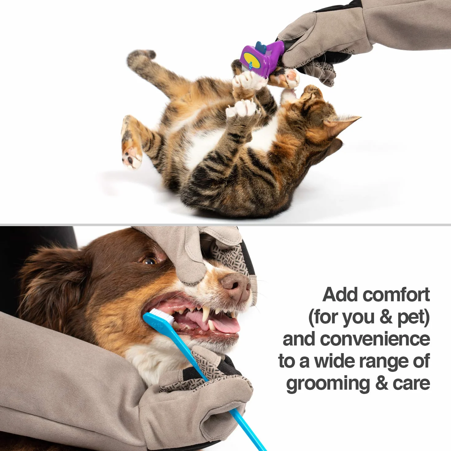 PetFusion Guanti multiuso per la toelettatura degli animali domestici, ideali per viaggi al veterinario e al bagno, resistenti alle forature, ai graffi e all'acqua
