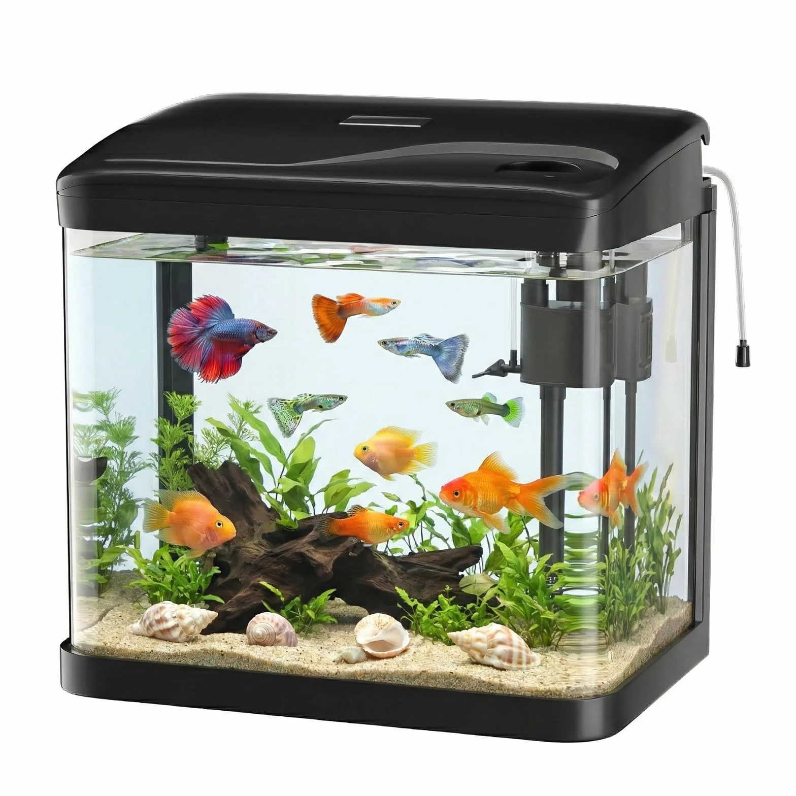 Acquario in Vetro Acquario Completo Acquarios Per Pesci Rossi,con Illuminazione a LED e Sistema di Filtraggio,10 Litri,Nero,Set Per Principianti