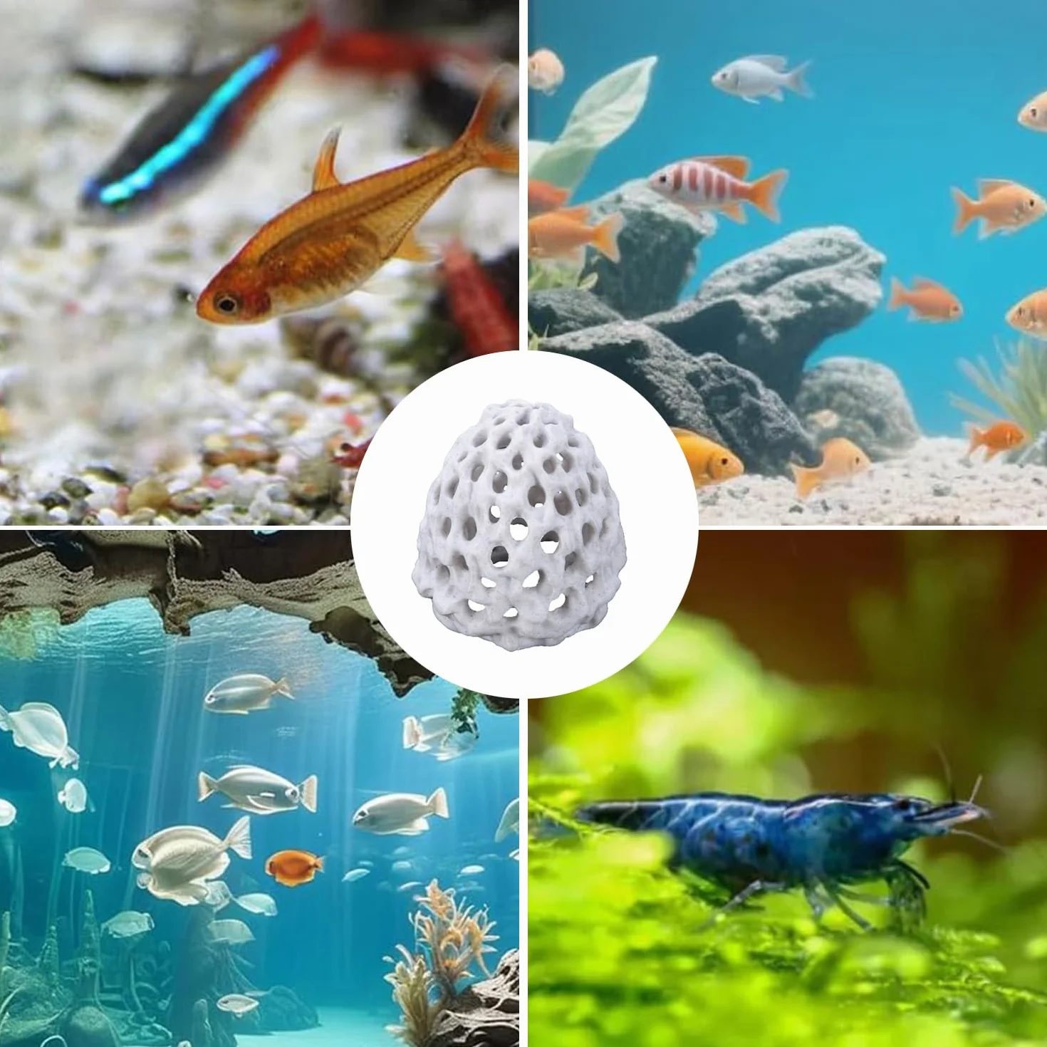 2 Pezzi Nascondiglio Per Pesci Betta, Nascondiglio Per Gamberetti in Plastica, Casetta Per Gamberetti, Per Piccoli Pesci, Gamberetti e Guppy Dove Nascondersi e Riposare, Bianco