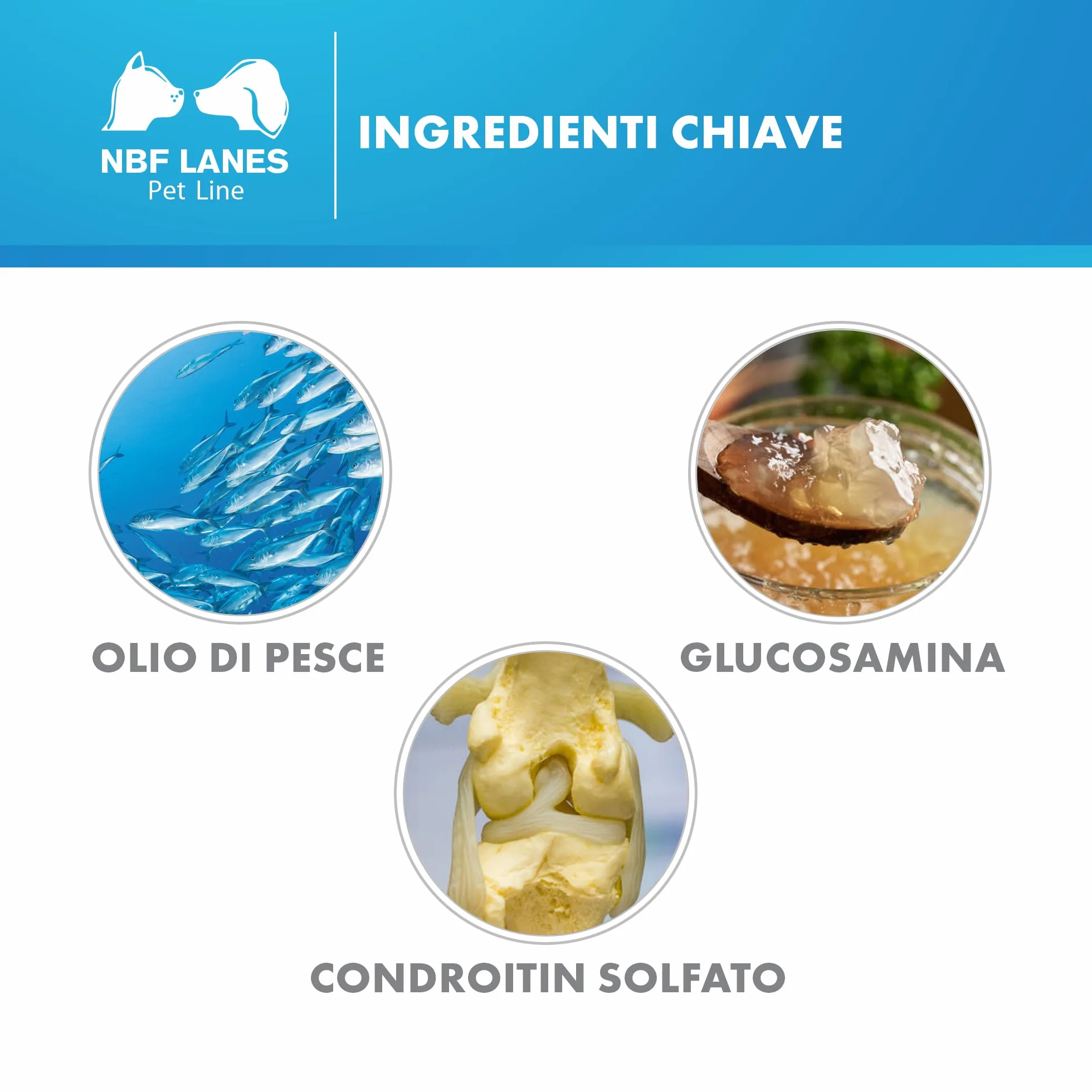 NBF Lanes | Artikrill Gatto, 30 Perle Appetibili, Supporto Metabolismo Articolare in Caso di Osteoartrite in Gatti di Tutte le Età
