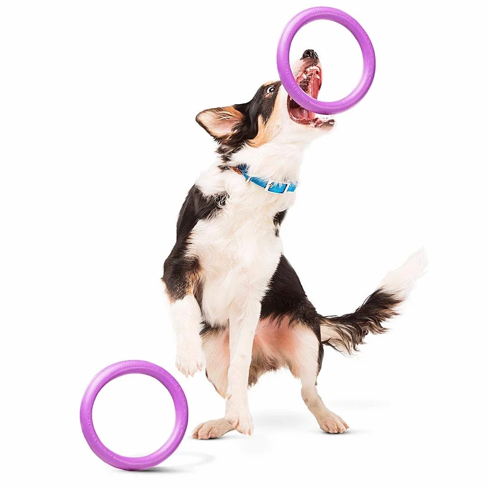 Ferplast Gioco Cane, Anello Addestramento Cani da Masticare, per Corsa, Salto, Tiro, Materiale Robusto Atossico, Galleggiante, PULLER MIDI, Giochi per Cane Piccolo e Medio, Set di 2 Anelli Fitness
