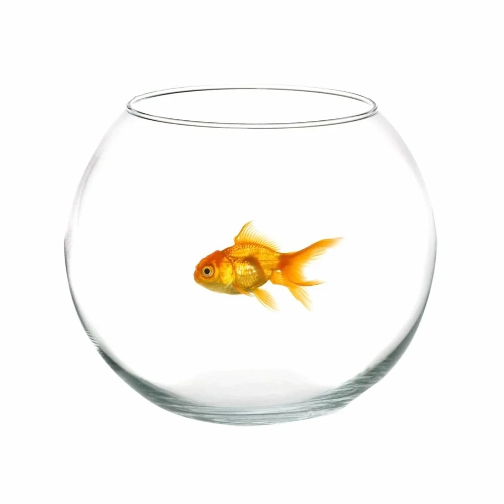AMPOLLA Boccia per Pesci in Vetro 20 CM Acquario Pesce Rosso CENTROTAVOLA
