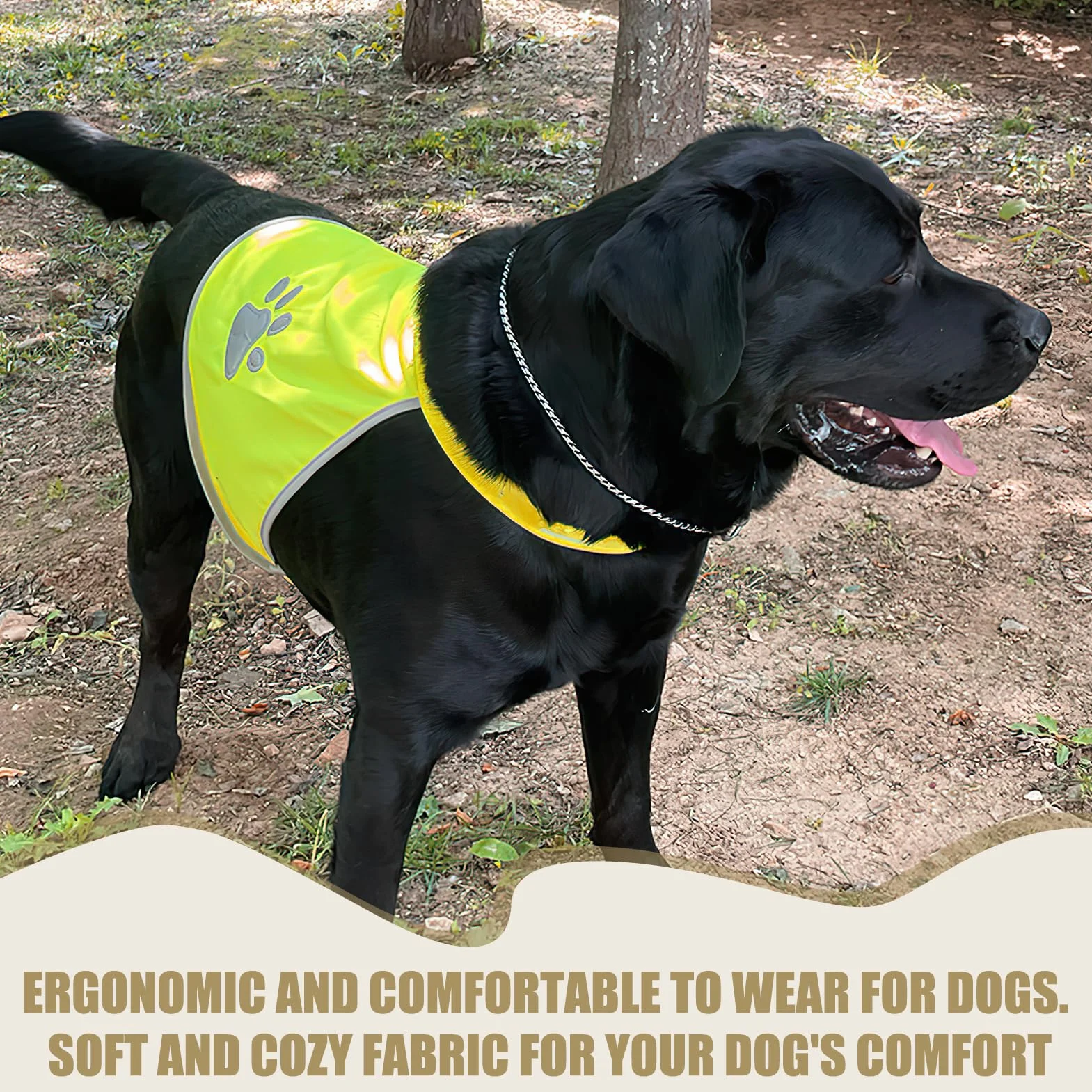 Gilet di Sicurezza Riflettente per Cani, Alta Visibilità Notturna, Giubbotto Protettivo Impermeabile, per Passeggiate Notturne e Attività all'Aperto, Taglia M