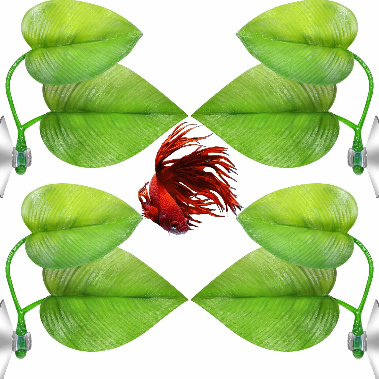 Foglia di Betta Amaca per Betta Pesce, Posto di Riposo Leggero e Realistico, Nessun BPA, 4 Pezzi