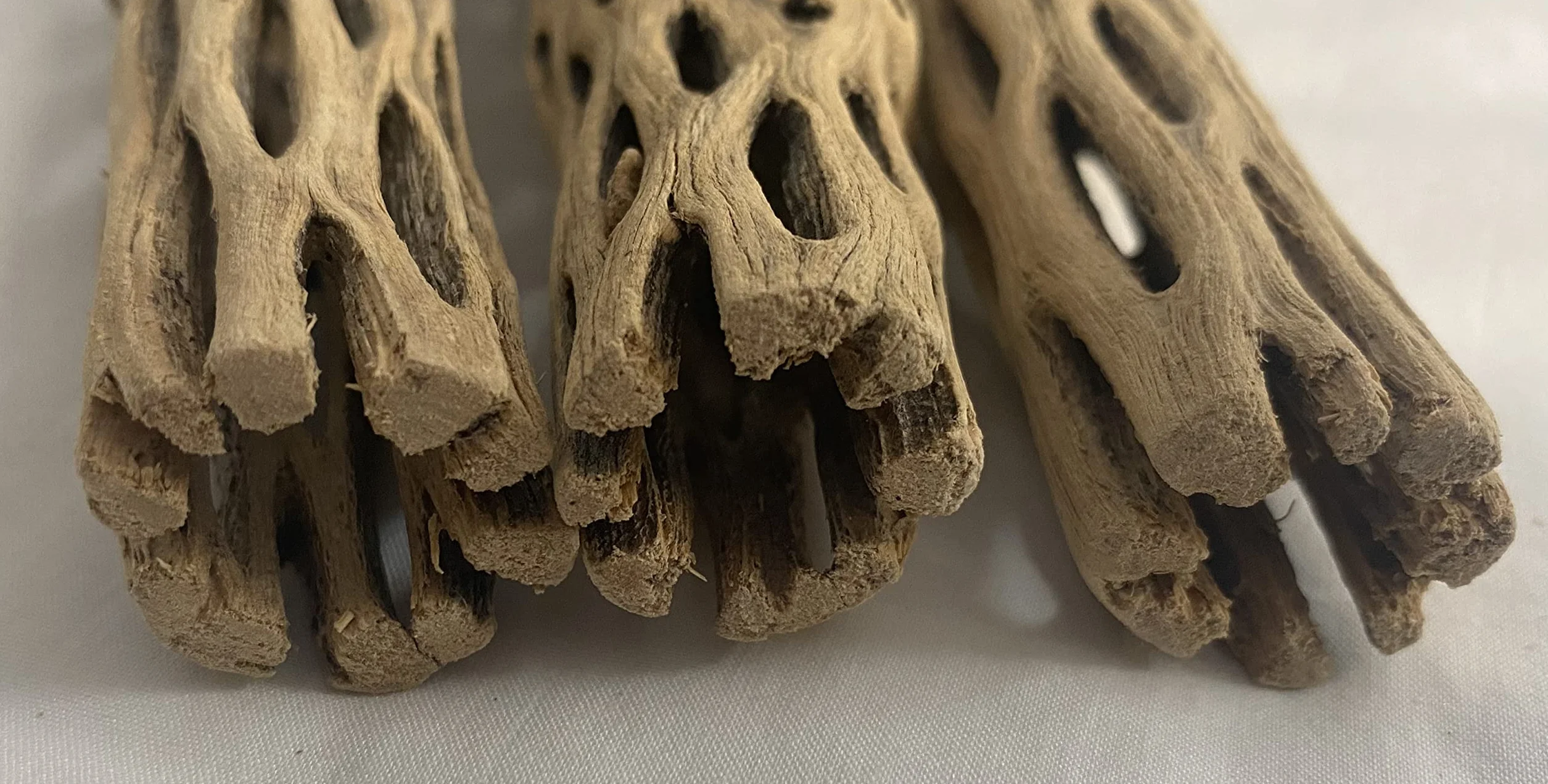 Fantastico Legno Naturale di Cholla/Choya, 3 Pezzi da 15.2 cm per Gli Habitat dei gamberetti e Il Trattamento Alimentare, per Erbe e granchi, Plettri per Acquario, Senza Spine, essiccati biologici