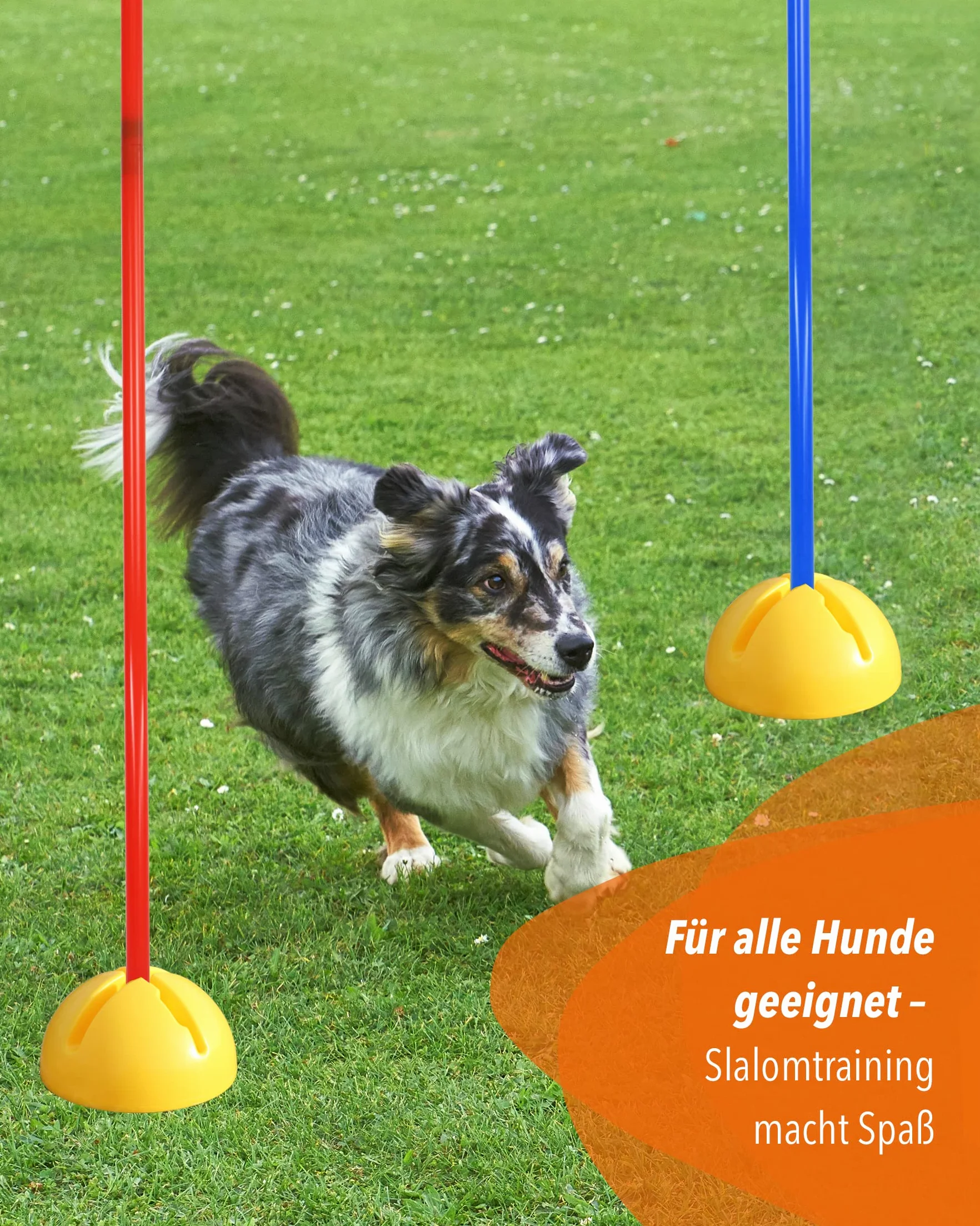 Supporto combinato X in plastica & asta slalom 180 cm – Set di 4 pezzi – Base riempibile – Asta per slalom & allenamento coordinazione – per calcio & sport cani – Slalom Set