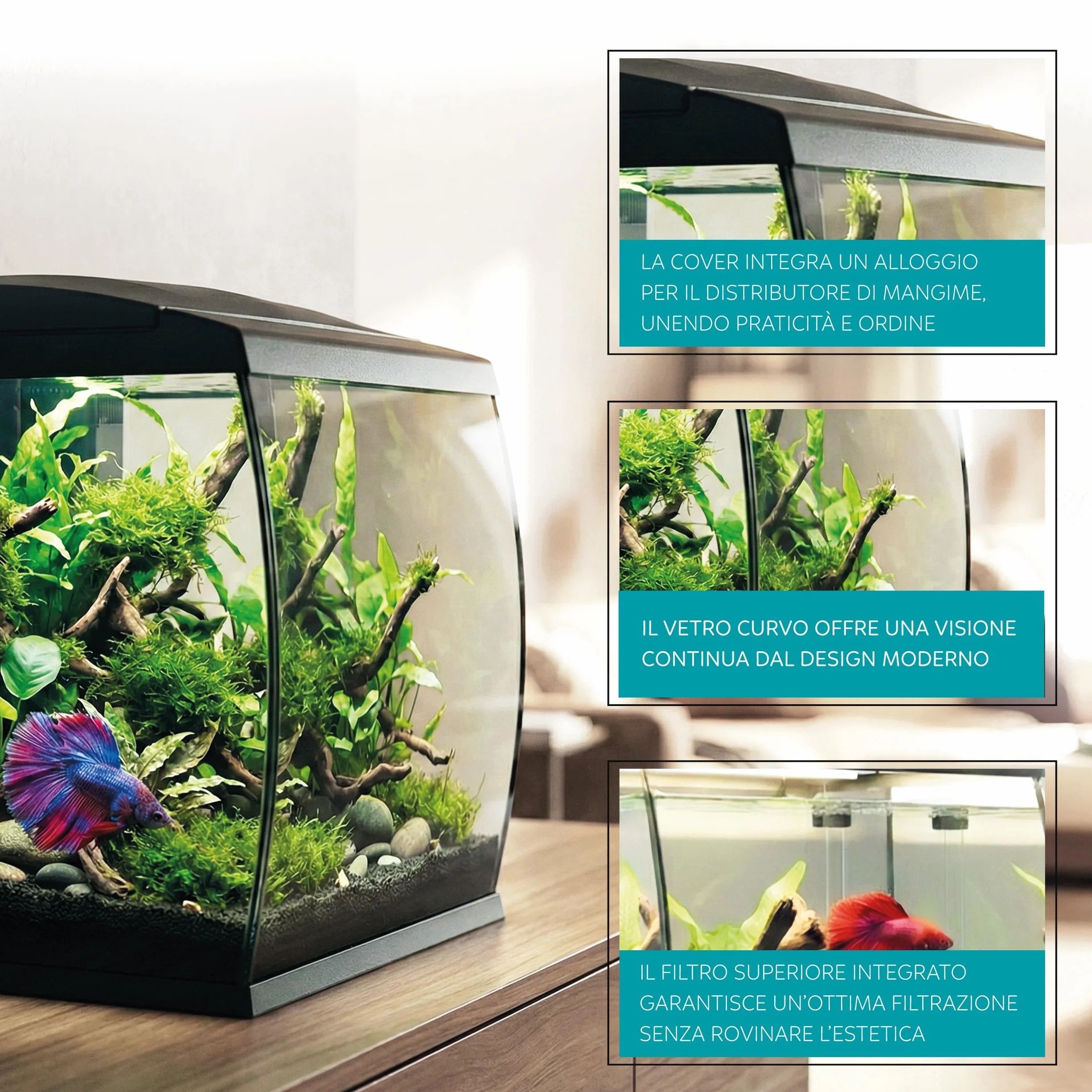 AQPET CurVe Acquario in Vetro Curvo 35L con Filtro Superiore Integrato e LED 6W – Acquario di Design da Scrivania con Pompa Inclusa e Coperchio per Distributore Automatico Mangime (Nero)