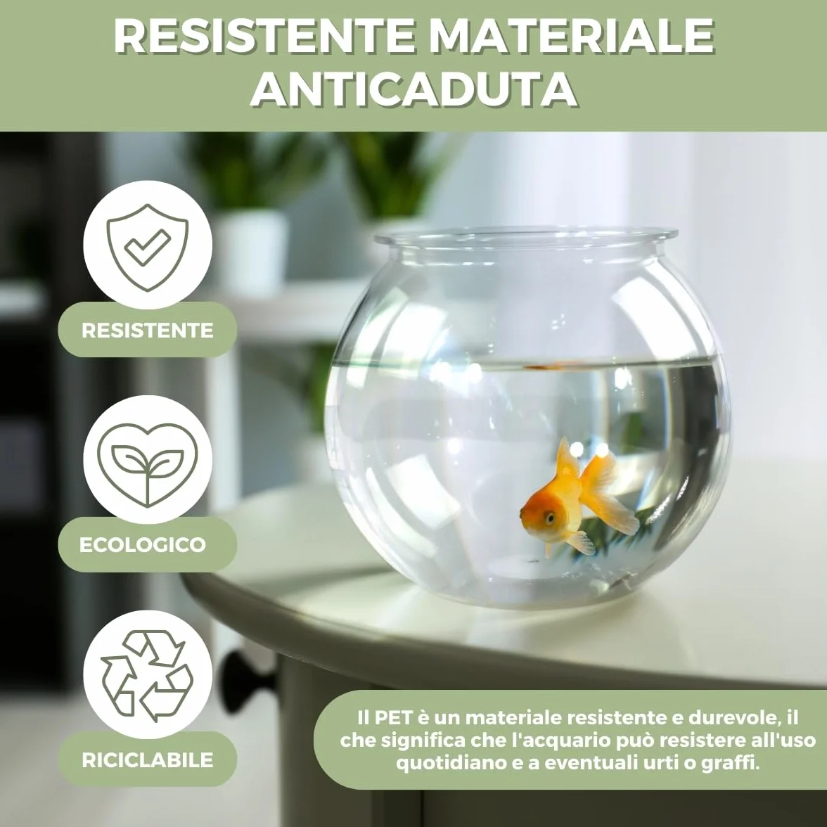 Mobiclinic® pets, Boccia per pesci, Rotondo, Nemo, 4 litri, Plastica pet eco, Design trasparente, 20x20x17, 5cm, Facile pulizia, Resistente, Ideale la decorazione domestica, Erbe acquatiche