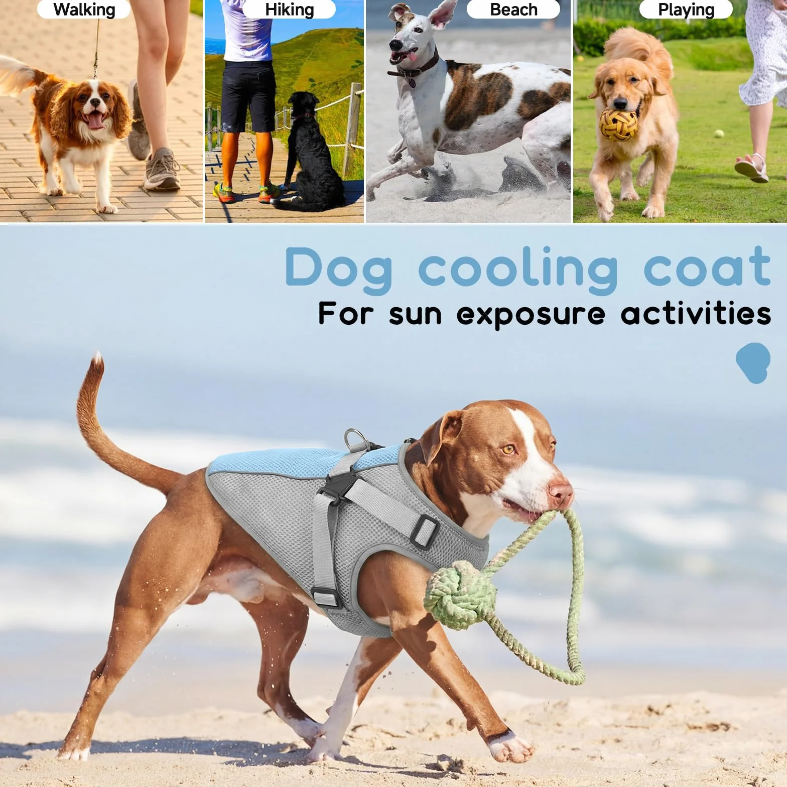 Giubbotto Rinfrescante Cane con Pettorina, Confortevole Cappotto Refrigerante Cane, Mantiene animale Fresco durante Passeggiate Estive, Riposo in Casa e Momenti di Relax(Grigio, L)