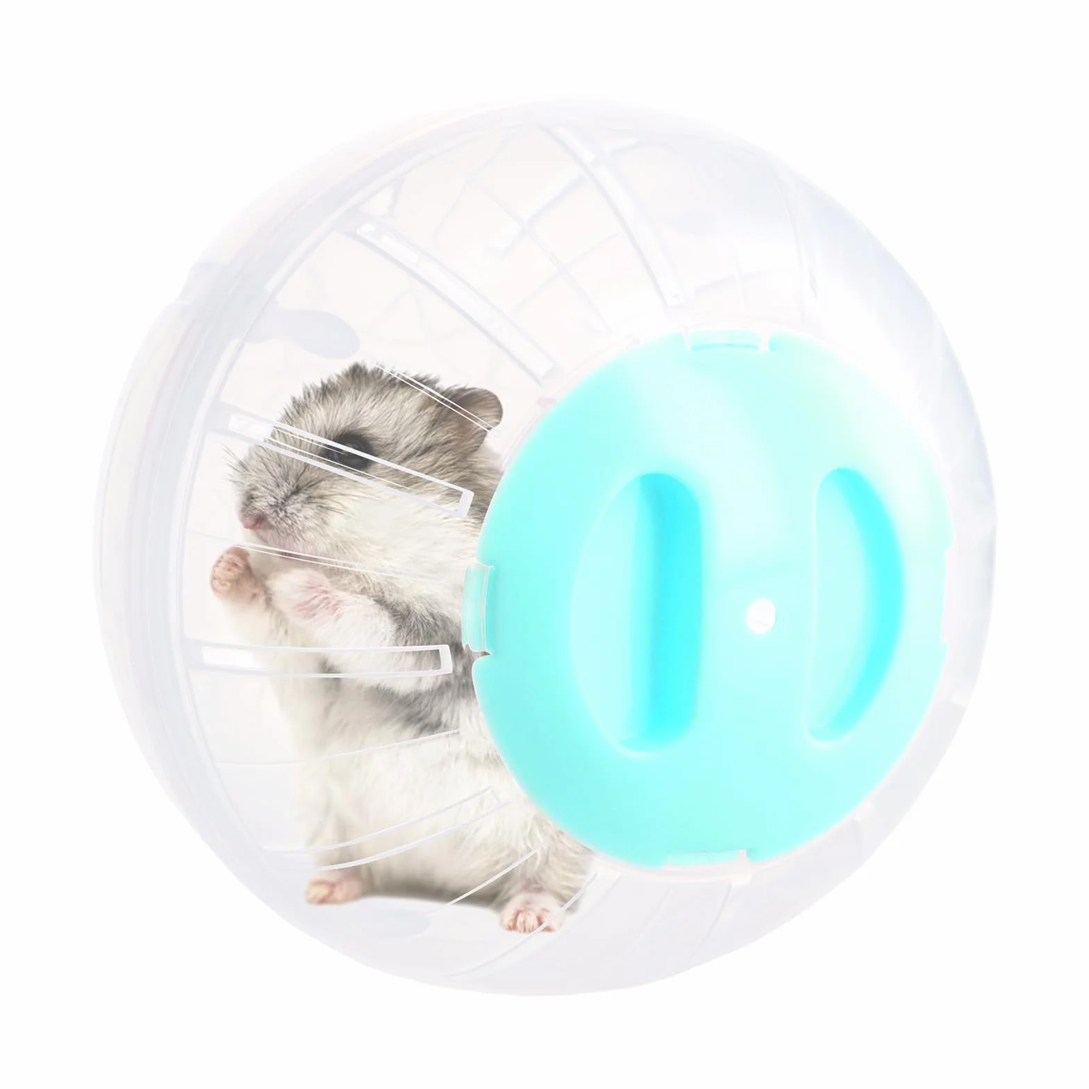 Palla per Criceto, Palla da Corsa per Criceti, Palline Esercizio per Criceti Trasparente, 14,5cm, Palla Fitness Criceto Plastica, Ruota di Corsa per Hamster, Animali, Roditori, Nano Gerbilli (Blu)