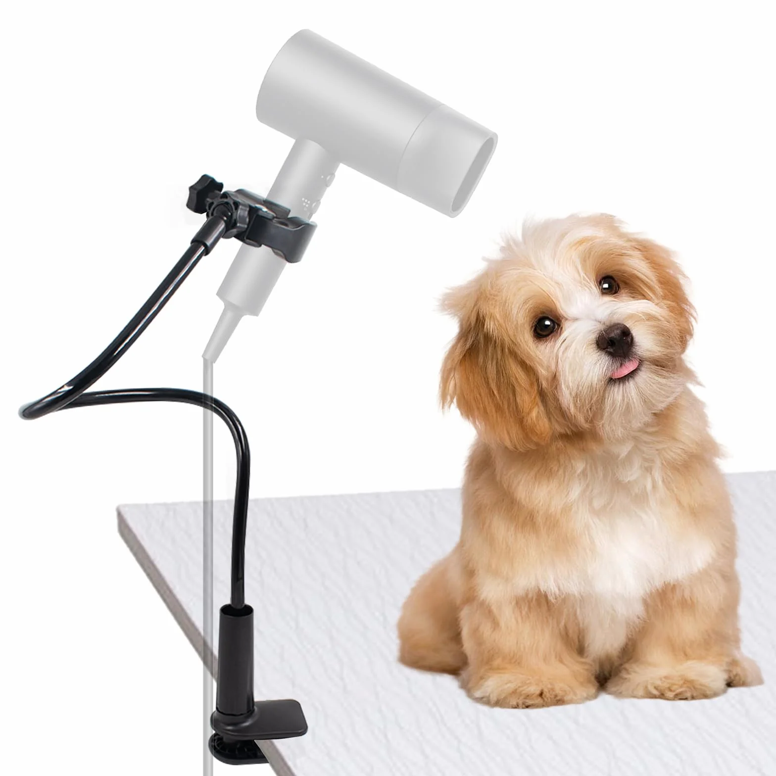 Cuyacili Supporto per asciugacapelli per cani girevole regolabile 80 cm