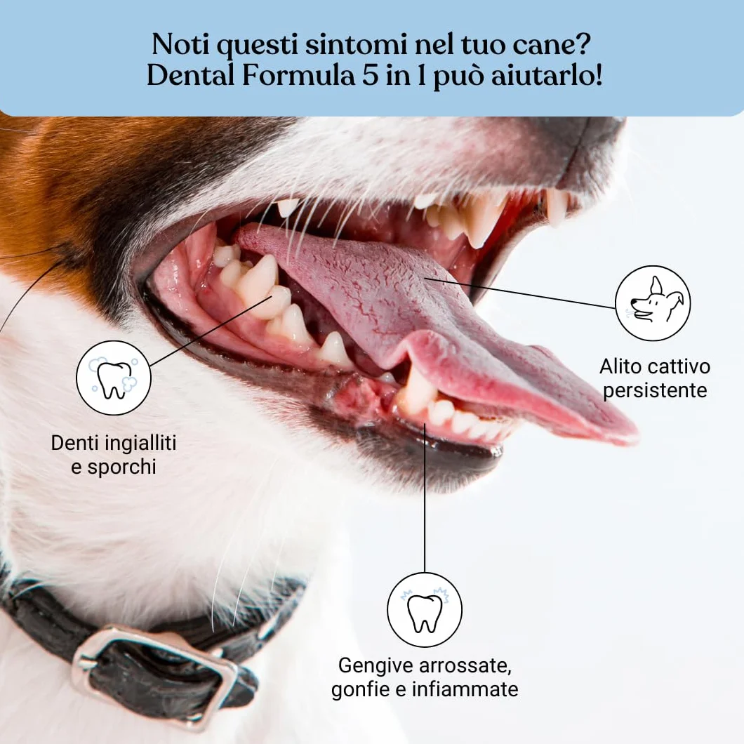 Bau Dental Formula 5 in 1 per Cani 250ml Additivo Acqua Igiene Orale Quotidiana