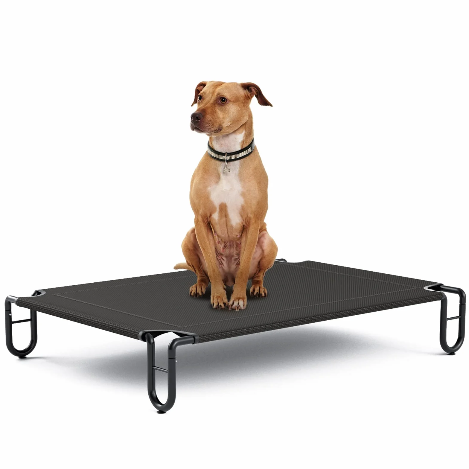 Lettino Rialzato per Cani Grande Cuccia Cane Interno Esterno 122x85cm