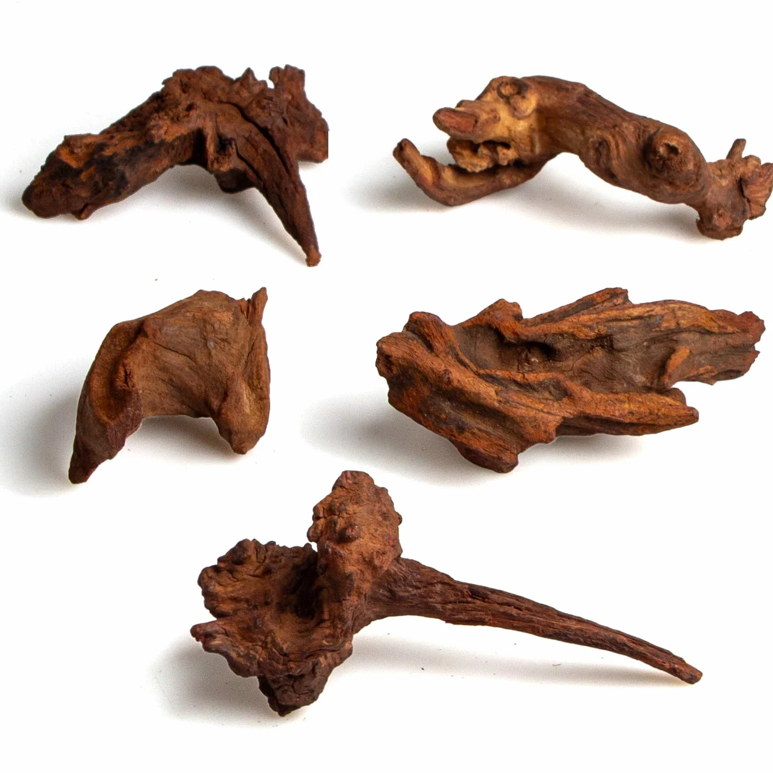 emours Legno naturale per acquario, 116,8 cm, rami intrecciati naturali, a basso tannino, ideale per acquari di gamberetti/betta e nano, anche per terrari per rettili (confezione da 5 pezzi)