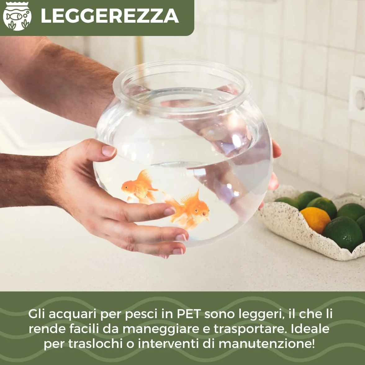 Mobiclinic® pets, Boccia per pesci, Rotondo, Nemo, 4 litri, Plastica pet eco, Design trasparente, 20x20x17, 5cm, Facile pulizia, Resistente, Ideale la decorazione domestica, Erbe acquatiche
