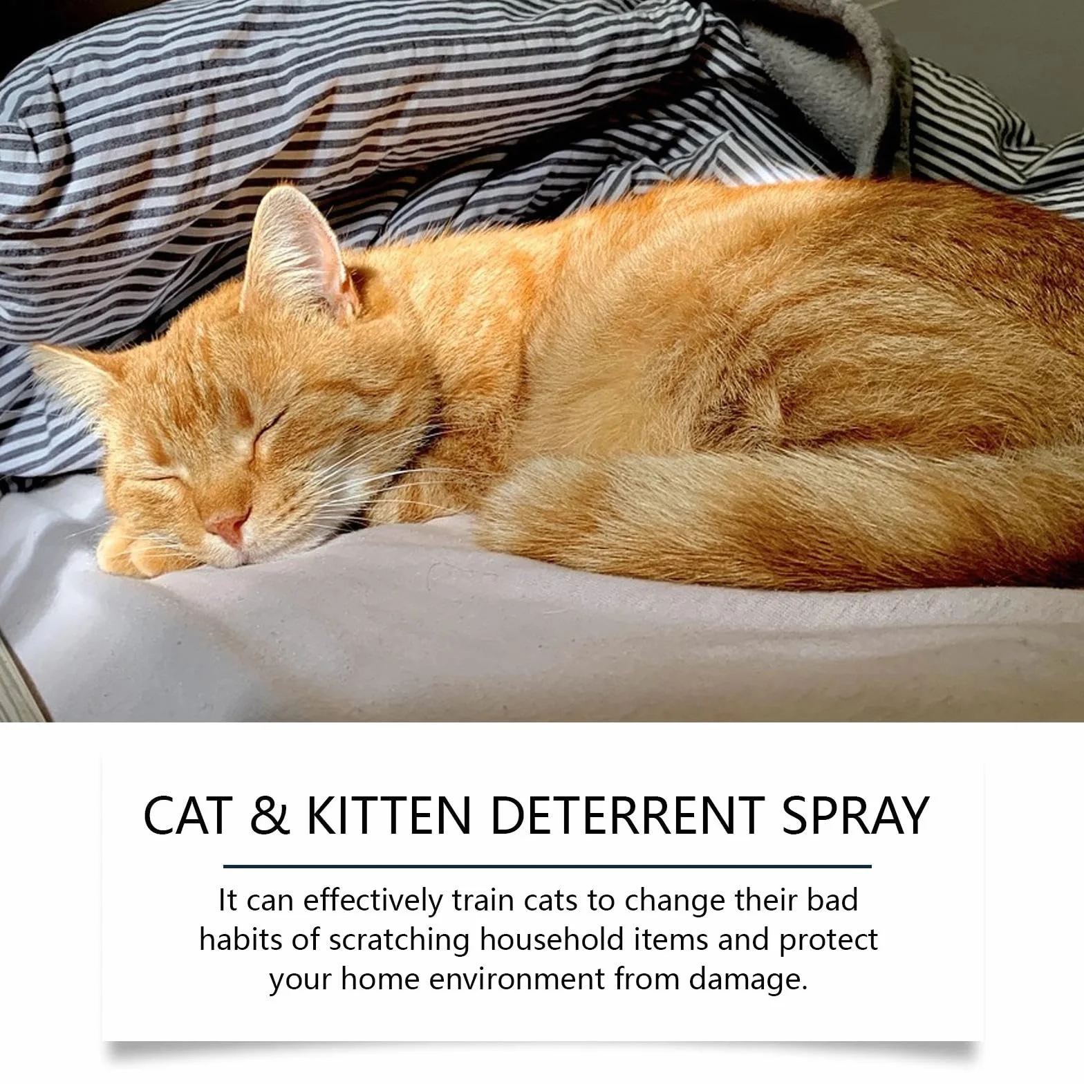 Spray Repellente per Gatti Naturale Anti-Graffio Deterrente, per interni ed esterni, sicuro ed efficace, protegge mobili, divani, tappeti e aree riservate, nuova formula per un migliore addestramento
