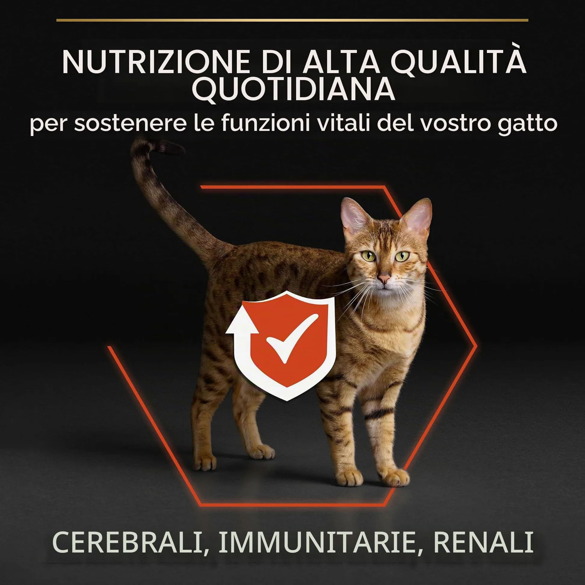 Purina Pro Plan Vital Function Crocchette Gatti Adulti Ricco in Salmone 3kg