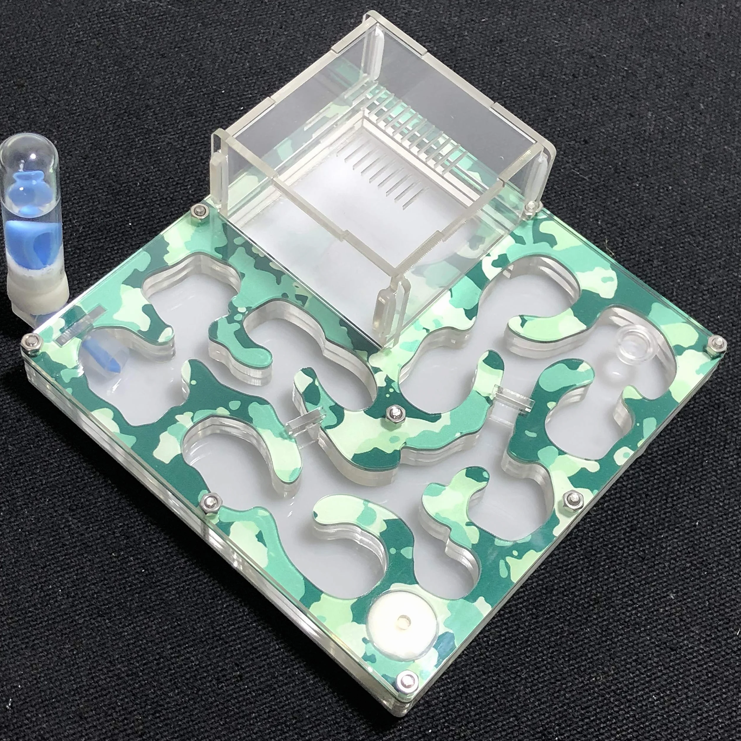 140 x 140 mm di spazio mimetico formicaio formicario formicario formicario educativo con idratazione e acqua per formiche LIVE (camouflage autum)
