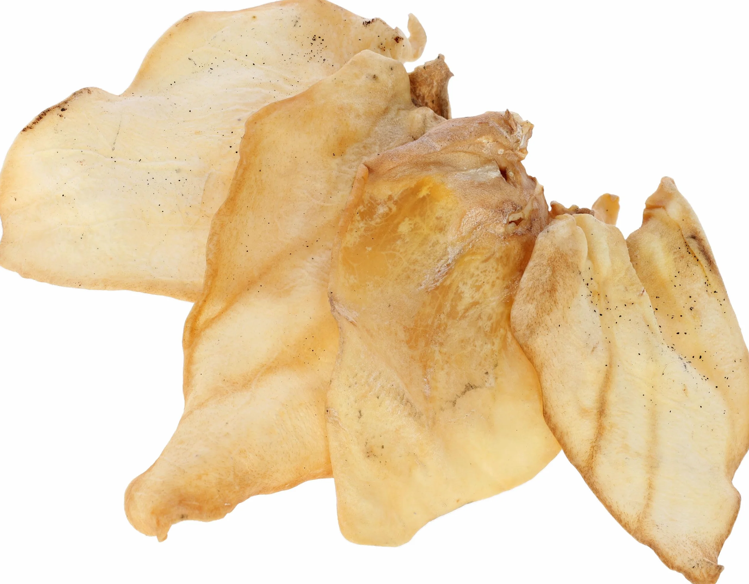 Kerbl Pet Orecchie di manzo, snack per cani, snack, confezione da 10, 200 g, masticabili naturali, per cani di tutte le razze, a basso contenuto di grassi, inodore