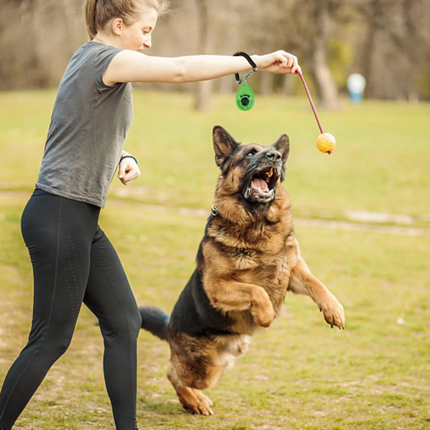 6 Allenatore per Animali Domestici, Strumenti per Gli Aiuti per Addestramento per Cani, Clicker di Addestramento per Cani, Forniture per Animali Domestici (Multicolori).
