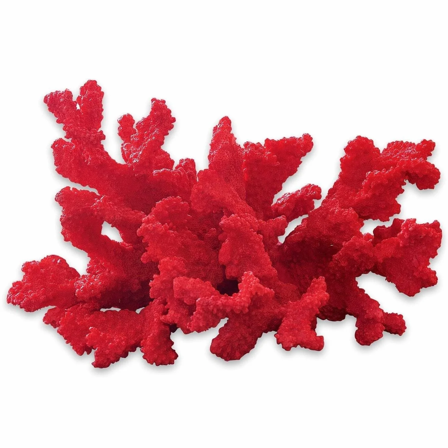 Loberon Coralli Decorativi Rosso
