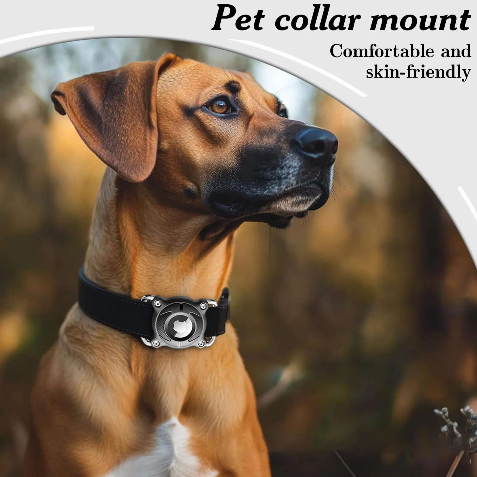 Impermeabile Collare Cane con Fibbia Metallica Staccabile Porta Cane 4 cm di Larghezza Collare GPS per Cani, Compatibile con Apple (Nero)