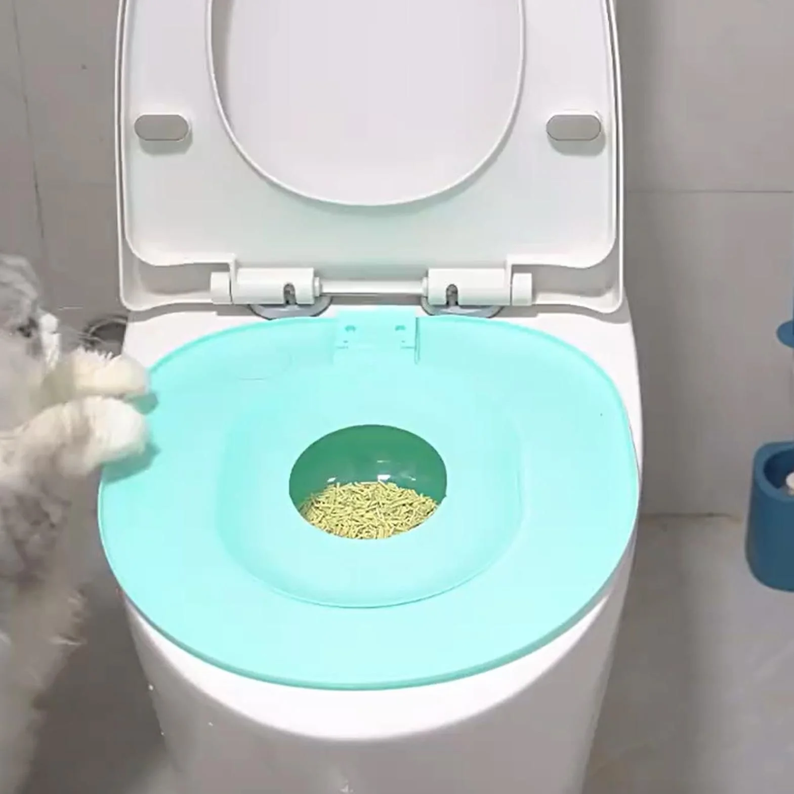 Cat Toilet Trainer Kit, Kitten Potty Teaching Seat, Leakproof Non-Stick Design, Easy-to-Use Toilet, 15.35x14.37 inches, Ideal for Apartment, Bathroom & House Training, Aqua Green