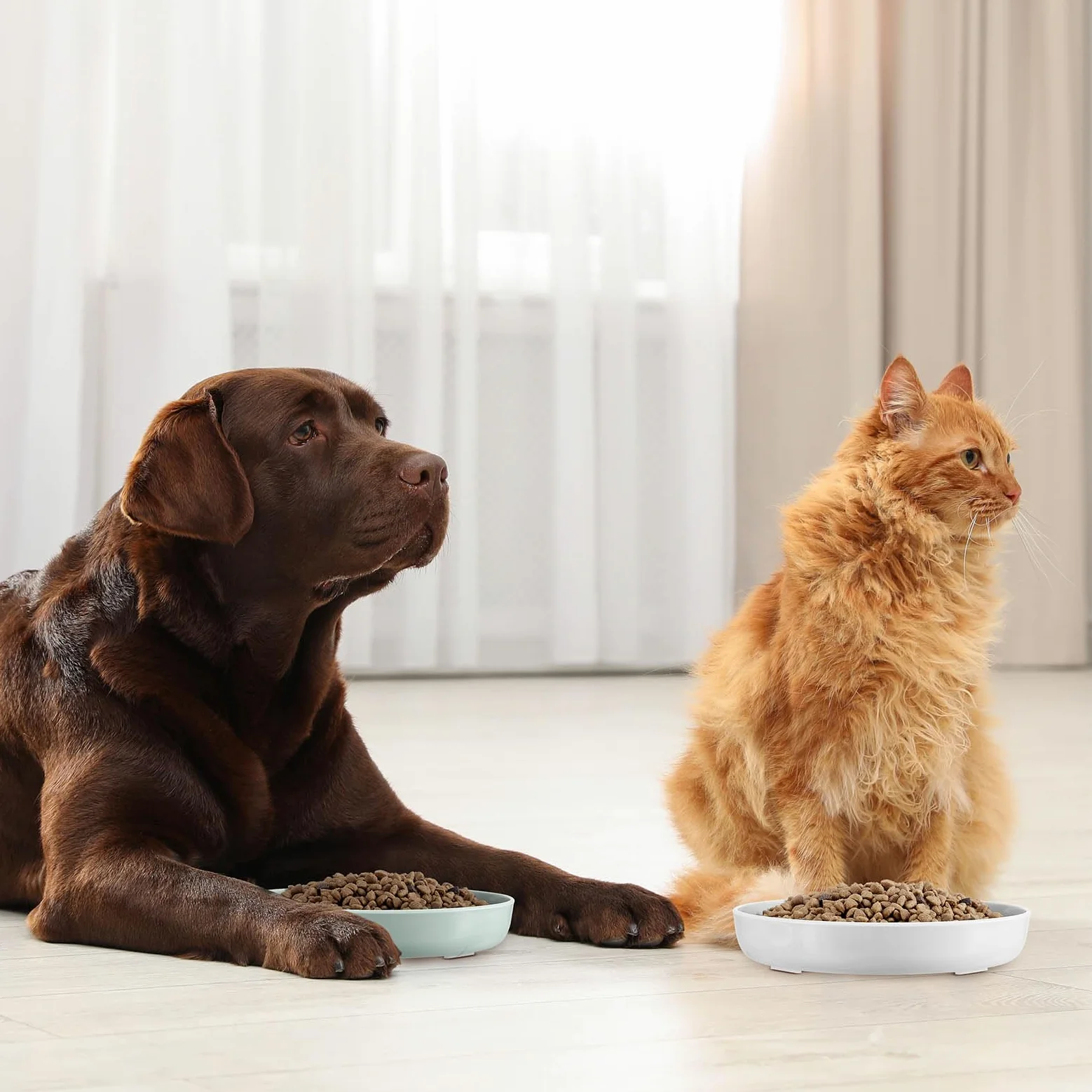 Nitial Mangiatoia per gatti, 2 ciotole per animali domestici, design a piscina per pesci, dieta sana e interattiva, lavabile in lavastoviglie, melammina, verde e bianco