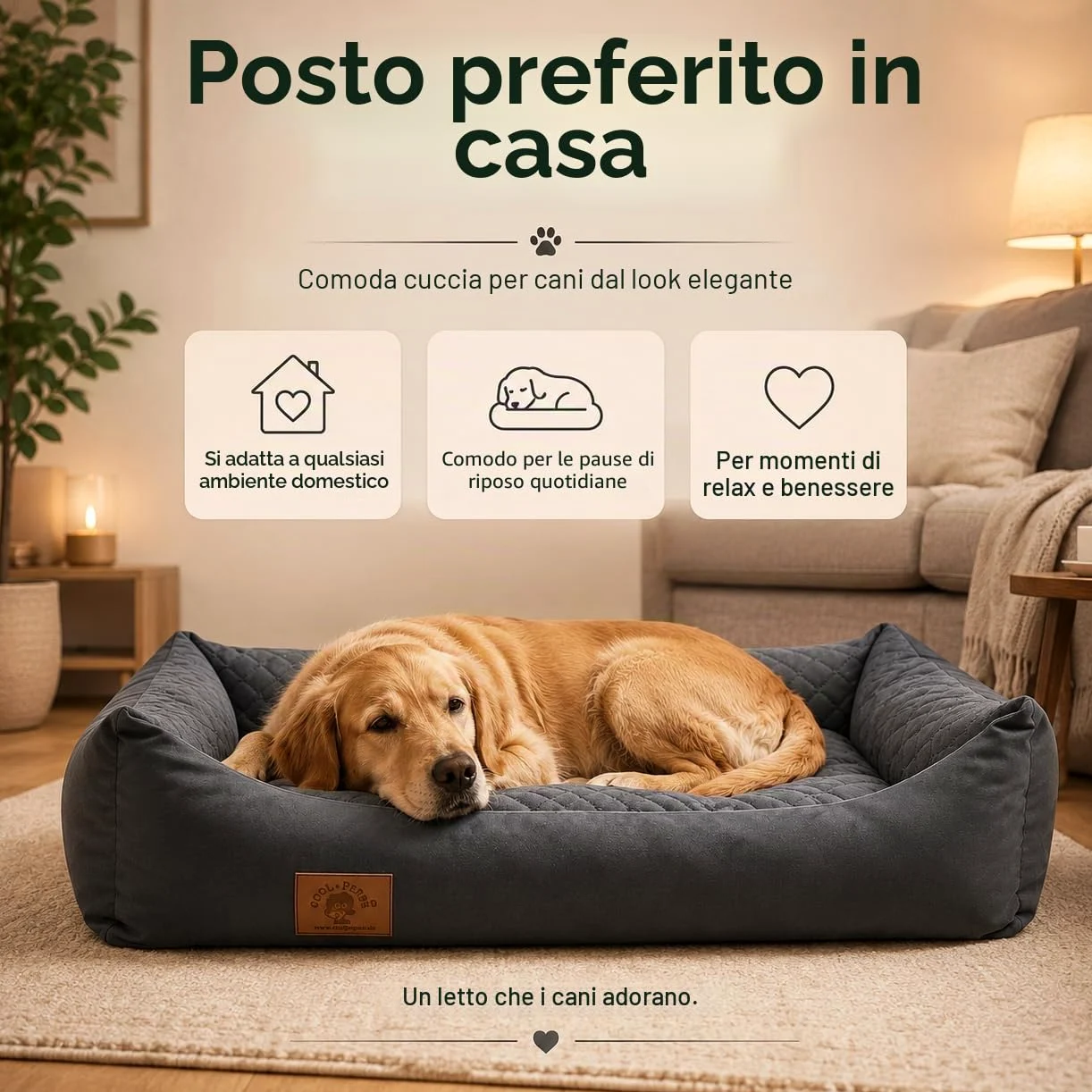 Odolplusz - Cuccia per cani XXL, cuscino per cani, divano per cani con cuscino reversibile (dimensioni e colore a scelta)