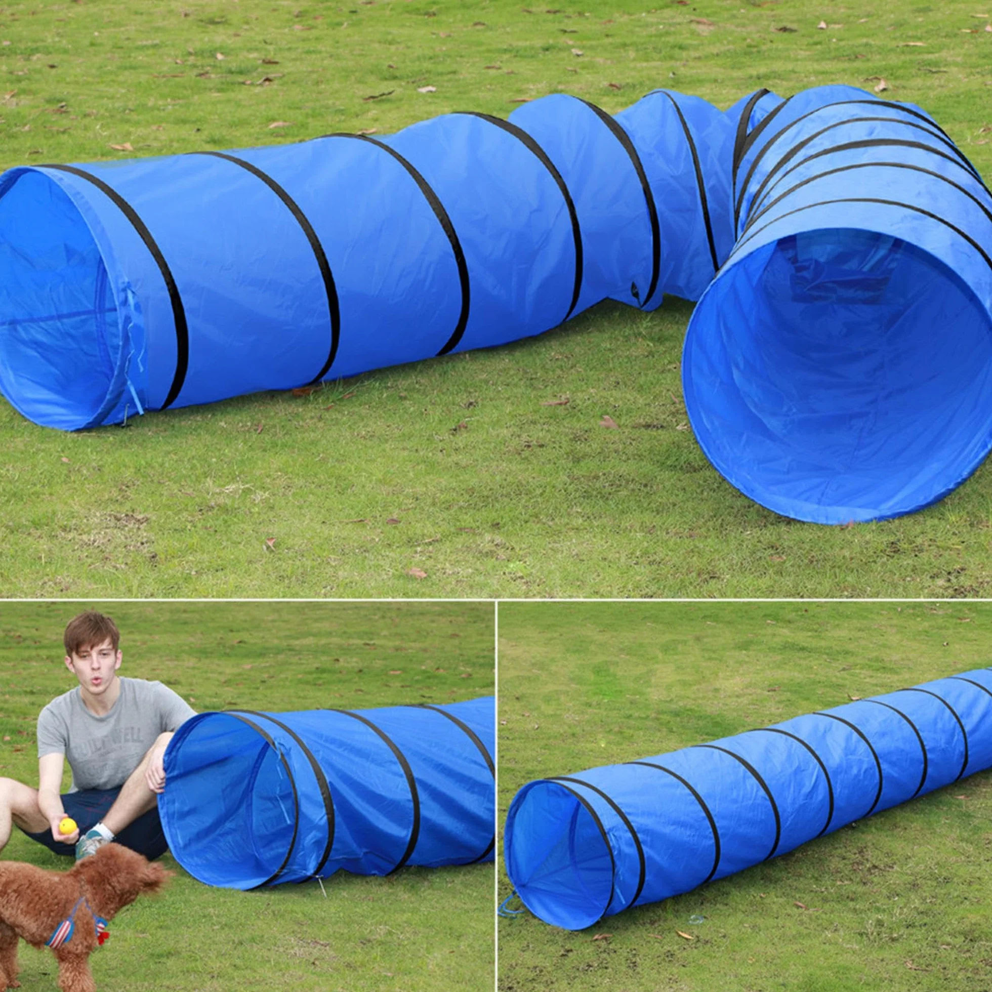Yaheetech Tunnel per Cani Animali Domestici 546 x 50 cm Pieghevole da Gioco Agility Blu con Borsa da Trasporto Picchetti
