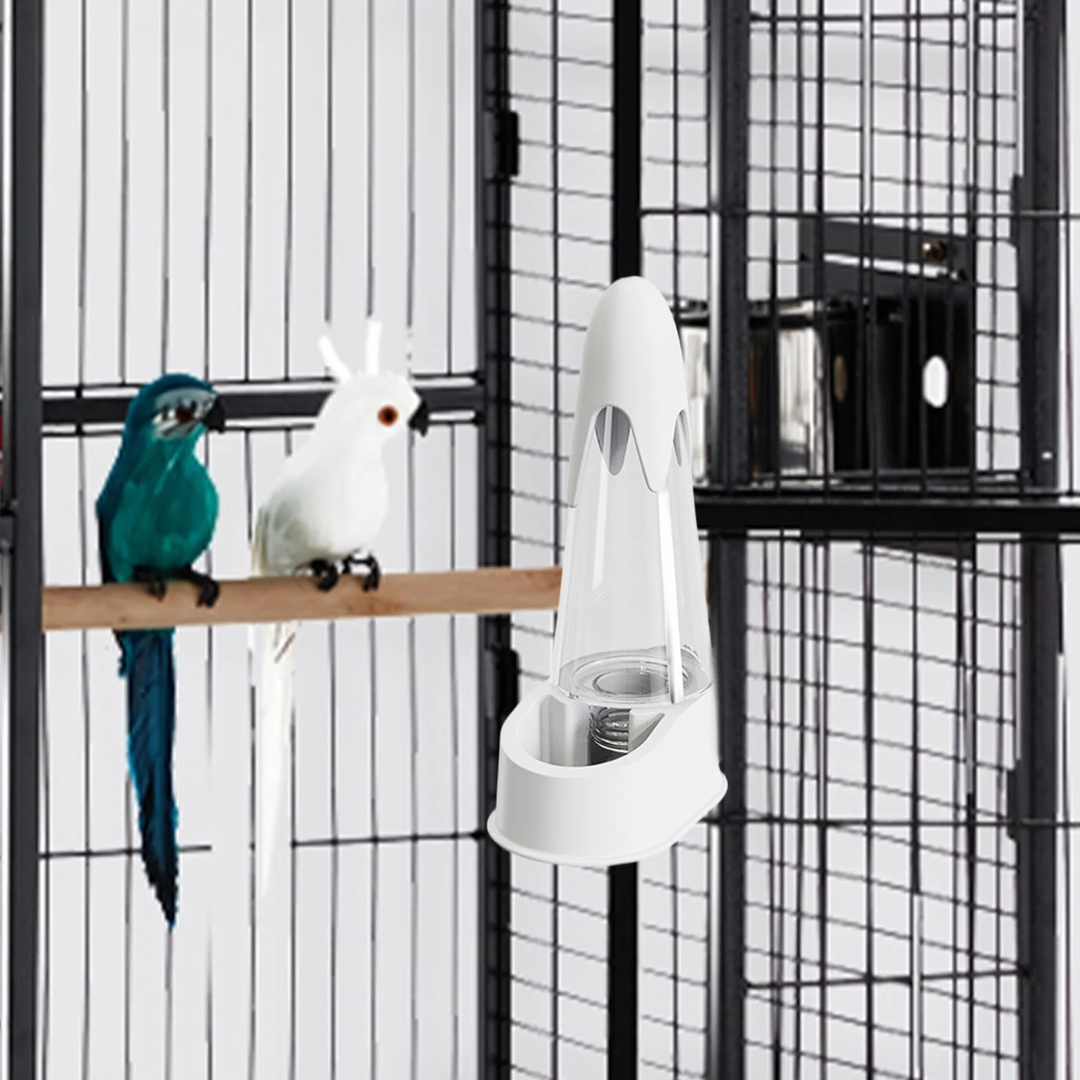lyanny Bevi Uccelli - Automatico Dispenser Acqua Uccelli - Idratante Facile Da Installare Per Pappagalli Parrocchetti Piccoli Animali Domestici