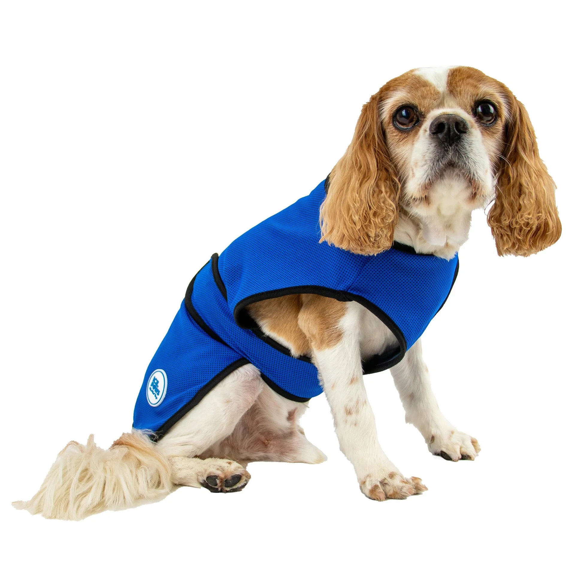 Ancol, cappotto di raffreddamento per cani