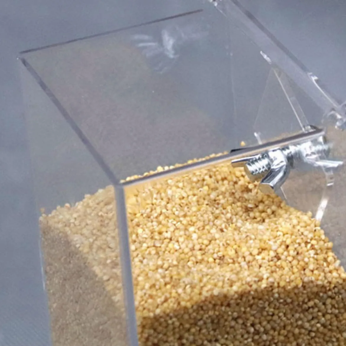BESPORTBLE Mangiatoia Per Pappagalli in Acrilico Mangiatoia Per Uccelli Automatica Scatola Per Pappagalli e Uccelli Accessorio Per Gabbia Facile Da Installare e Pulire Piastra Regolabile Per