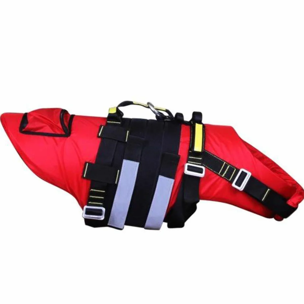Alp Design Delphinus Imbracatura Galleggiante per Cani da Soccorso Taglia M 25-40 kg 6 Maniglie Made in Italy