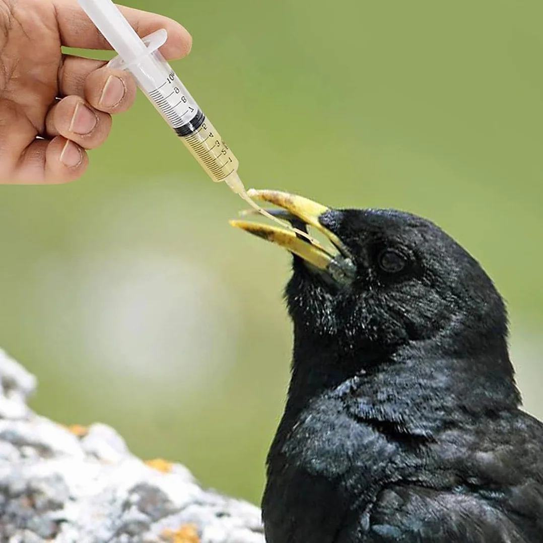 2 pezzi siringhe per uccelli giovani, inclusi 10 tubi di alimentazione, contenitore per mangime, strumento manuale per l'alimentazione, adatto per pulcini e pappagalli, facile da pulire