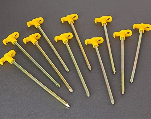 Fiamma 98655-349 - Set di 10 Chiodi da Terra