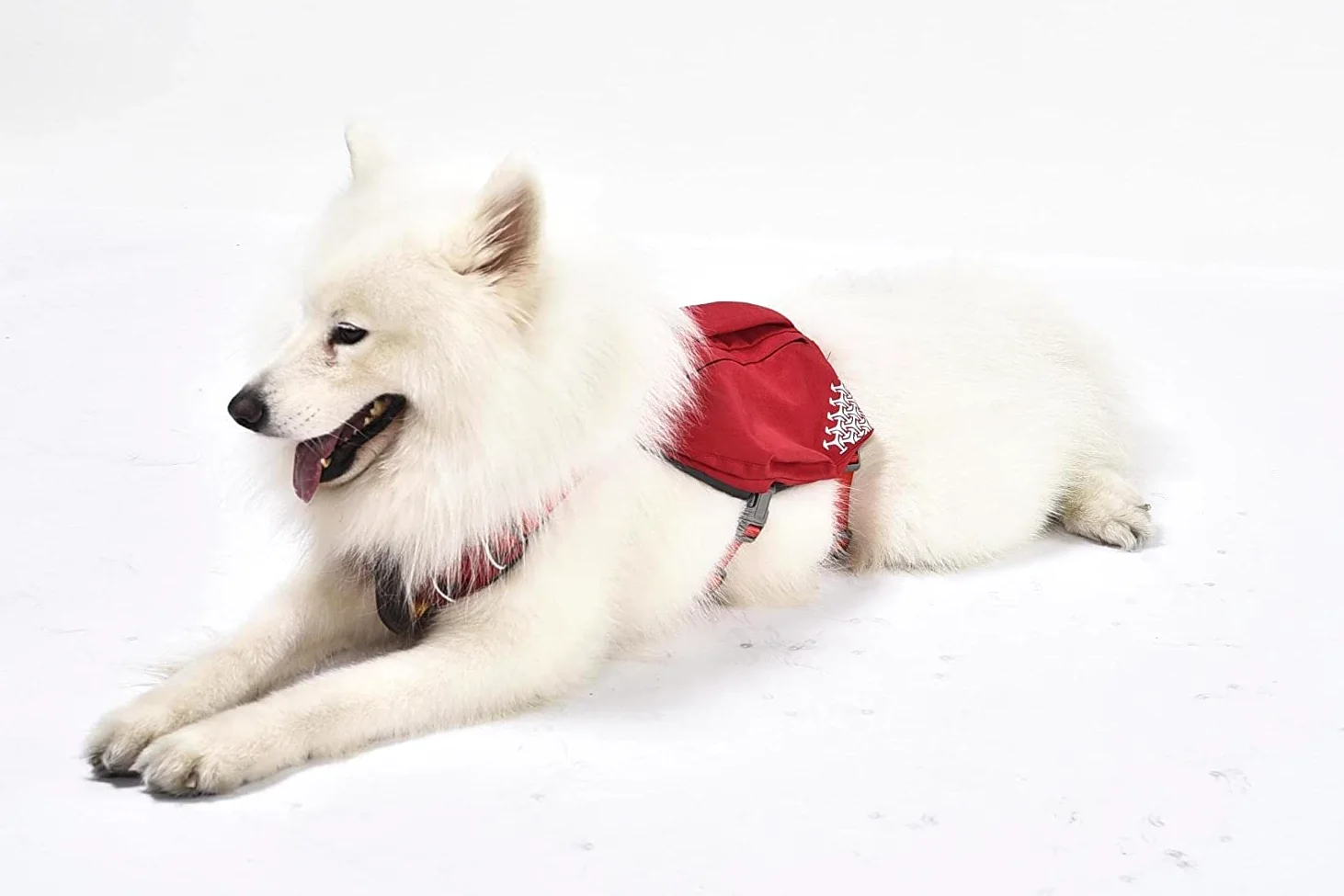 iEnergy MIC Imbracatura per cani con due borse e ideale per viaggi brevi, Imbracatura pettorale traspirante, riflettente e imbottita Imbracatura anti-trazione No Pull (XL)