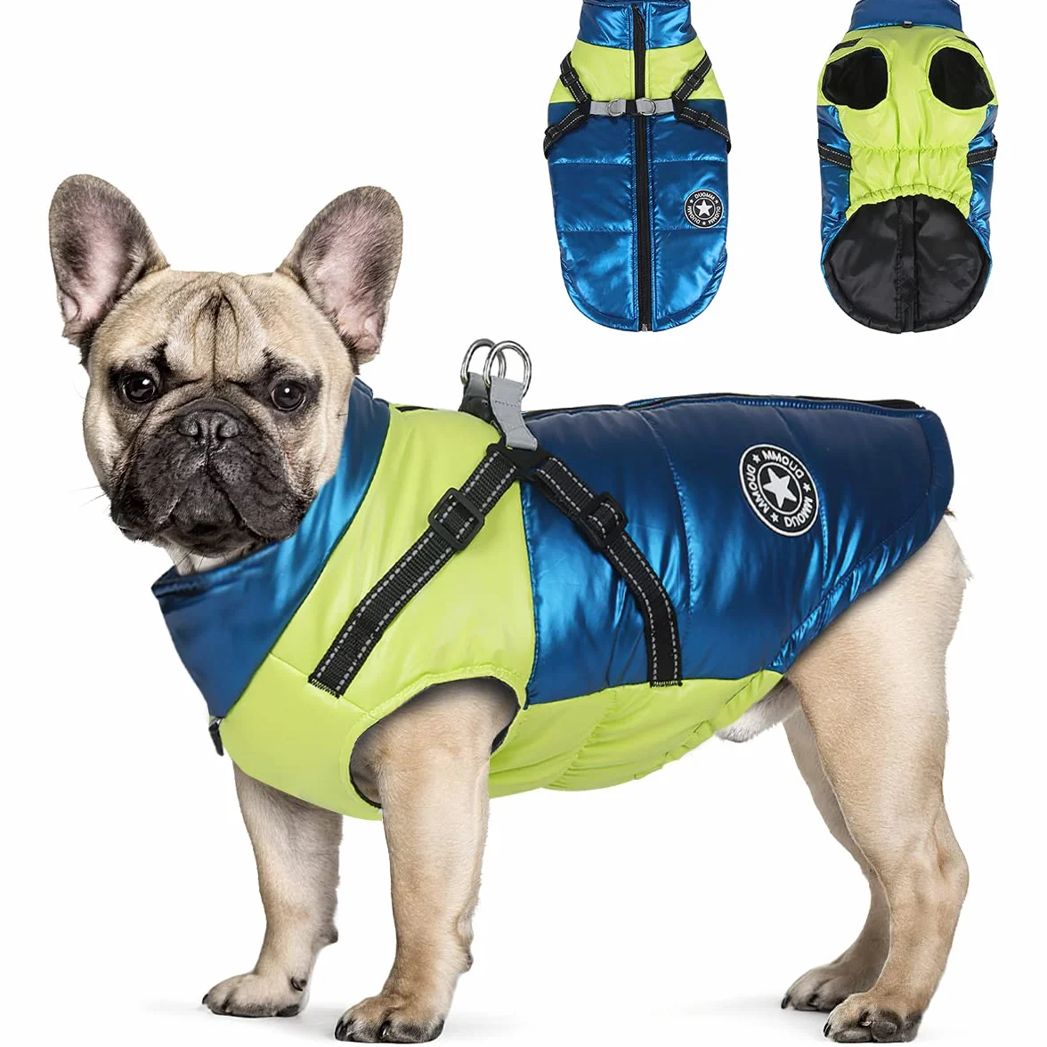 Cappotto Invernale per Cani, RosyFate Vestiti per Cani Piccoli, Giacca Cane Impermeabile, Gilet per Cani, Vestiti Caldi perr Animali Domestici, Antivento per Esterno (M)
