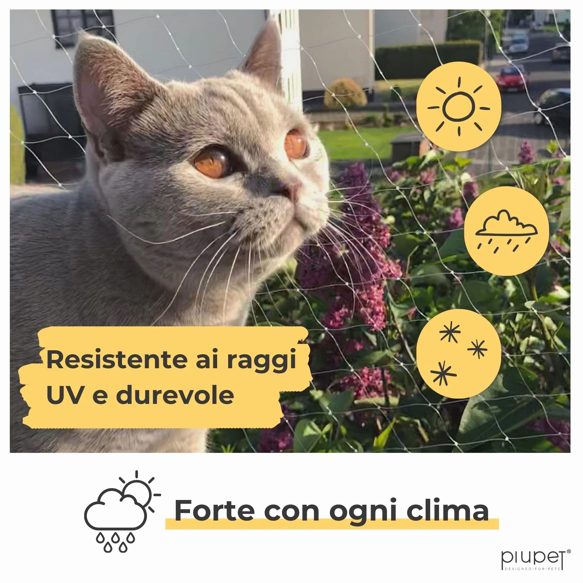 PiuPet® Rete per Gatti I Trasparente I 4x3m I Incl. Corda di Fissaggio I Rete per Gatti Balcone Trasparente I Rete Balcone per Gatti | Rete Protezione Balcone e Finestra per Gatti