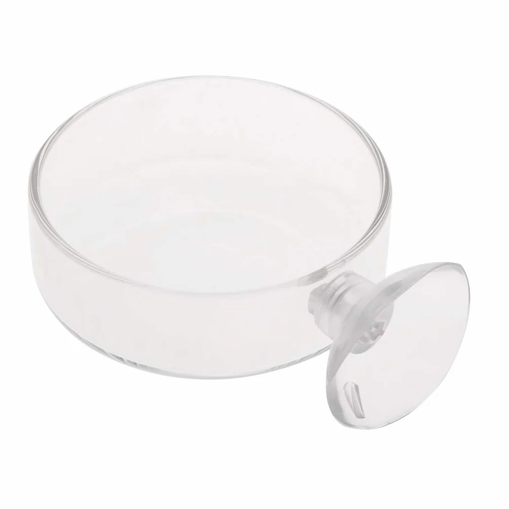 Mangiatoia per gamberetti in vetro rotonda 6,1 x 1,8 cm con ventosa per acquario