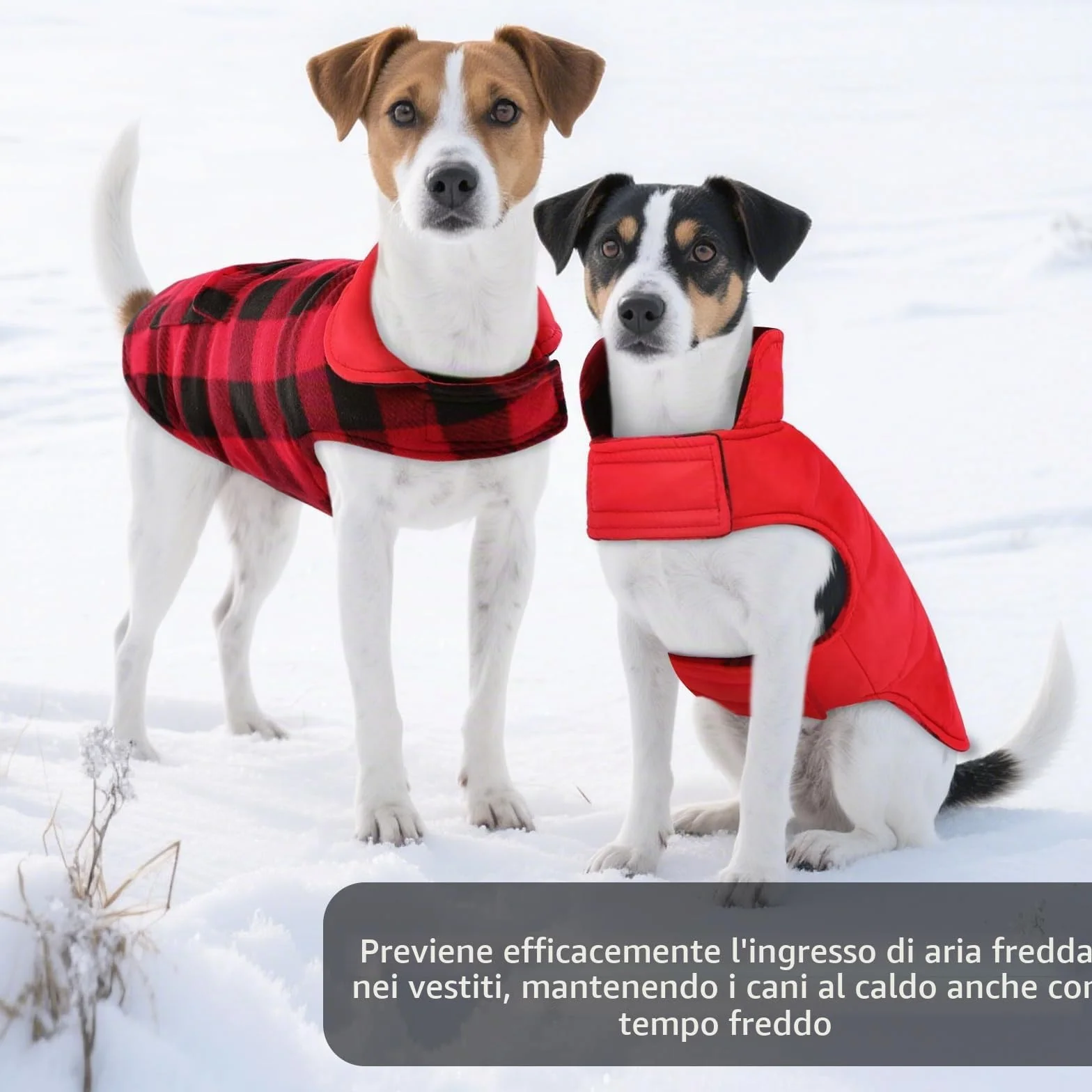 ASENKU Cappotto Cane Impermeabili Invernale, Cappottino Cane Reversibile Antivento Freddo Taglia Media M, Calda Giacca per Cani,Gilet per Cani con Fodera in Lana Protegge Dal Freddo