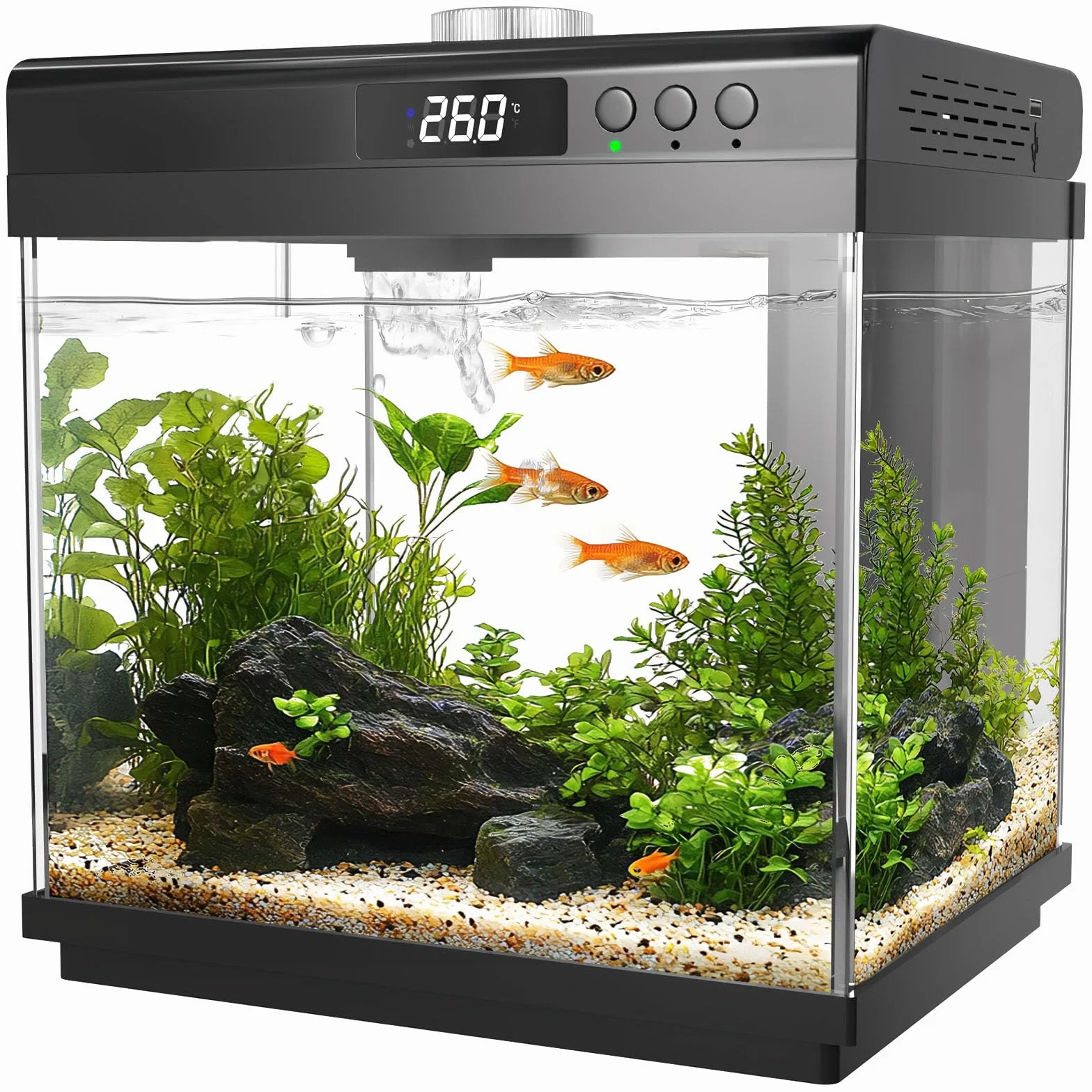 AQQA Starter kit per acquario da 14 l, piccolo acquario in vetro con filtro e luce LED, nano acquario regolabile in 10 colori, kit autopulente per pesci tropicali, per pesci rossi Betta