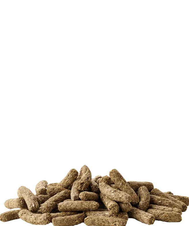 Versele-Laga Complete Cuni Adult | Confezione doppia | 2 x 500 g | Alimento completo per conigli adulti | Gustosi pellet all-in-one | Con fibre lunghe ed erbe aromatiche