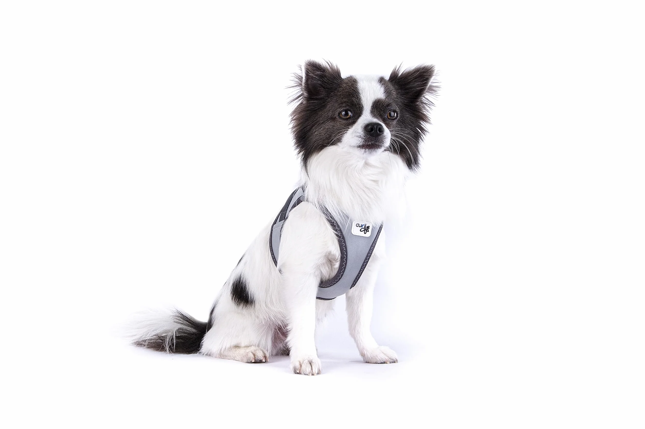 Glow curli Clasp Vest Harness Reflective Gray XS