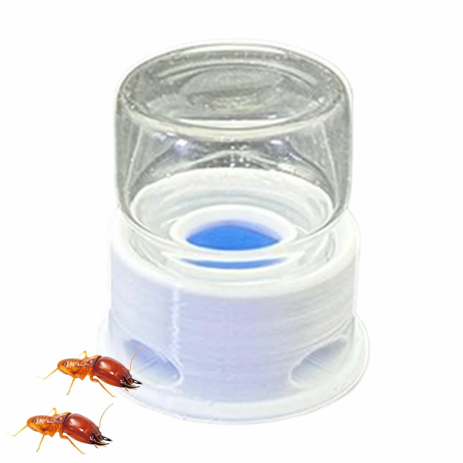 Mangiatoia per formiche, stazione d'acqua, dispenser trasparente per insetti contro l'annegamento, dispenser di acqua sicuro per formiche, durevole, per interni ed esterni, pratica