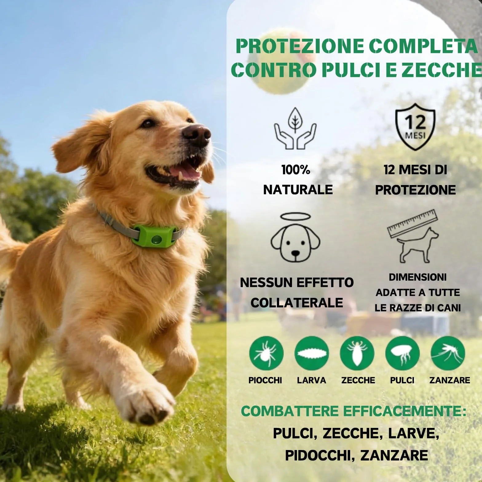 Aquality Pets Collare Antiparassitario Naturale, Collare Antiparassitario Per Cani, Adatto a Più Razze Di Animali Domestici, Gatti e Cani Universali