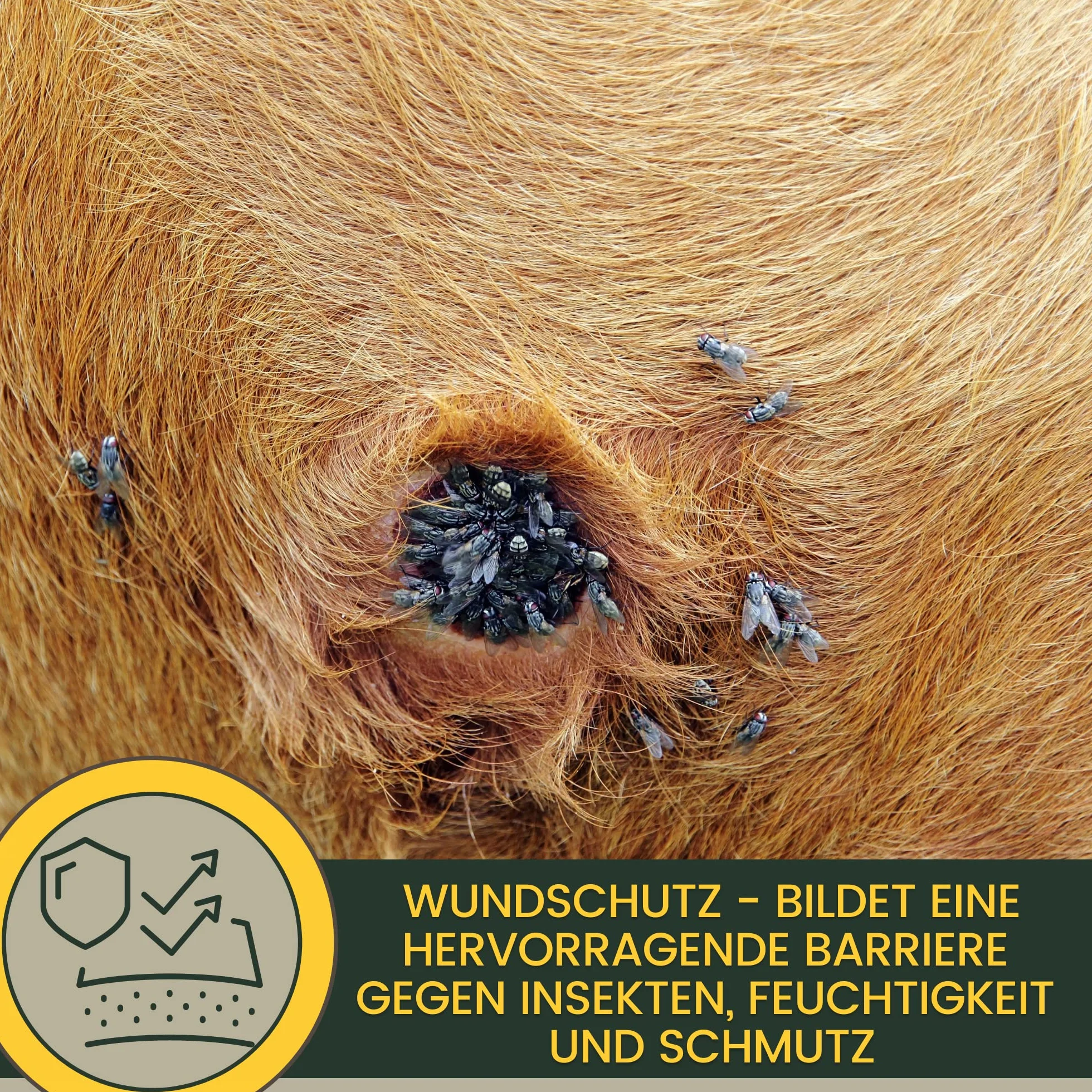Set di primo soccorso per gatti, spray d'argento + unguento di zinco ebertran, spray per ferite per animali domestici, per la guarigione delle ferite, unguento per la ferita cerotto spray 250ml 200ml
