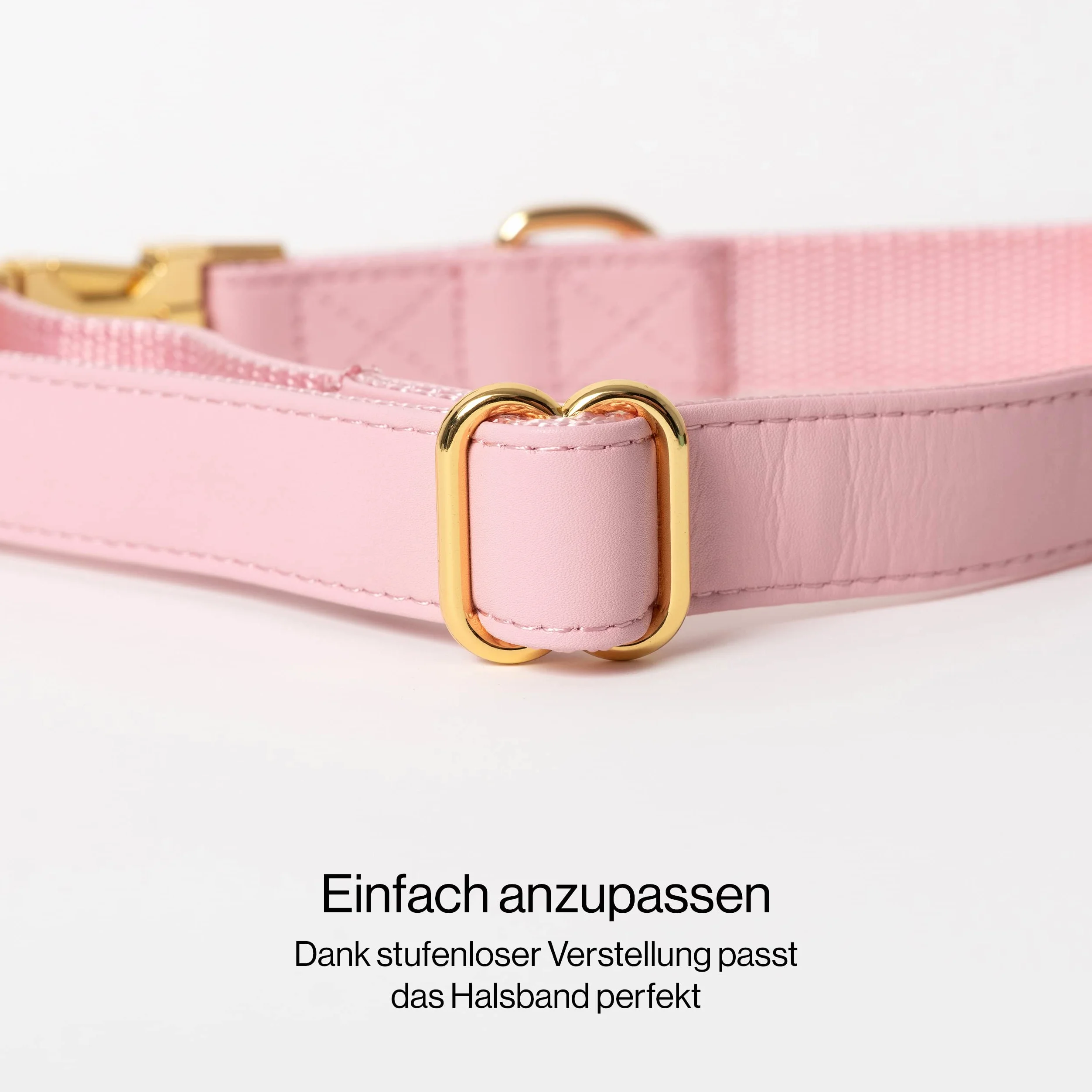 Rose | Collare per cani in set con guinzaglio e dispenser di sacchetti, in pelle vegana, collari per cani, guinzaglio per cani | 2 m, guinzaglio per cani con collare (M/L: 39-59 cm)