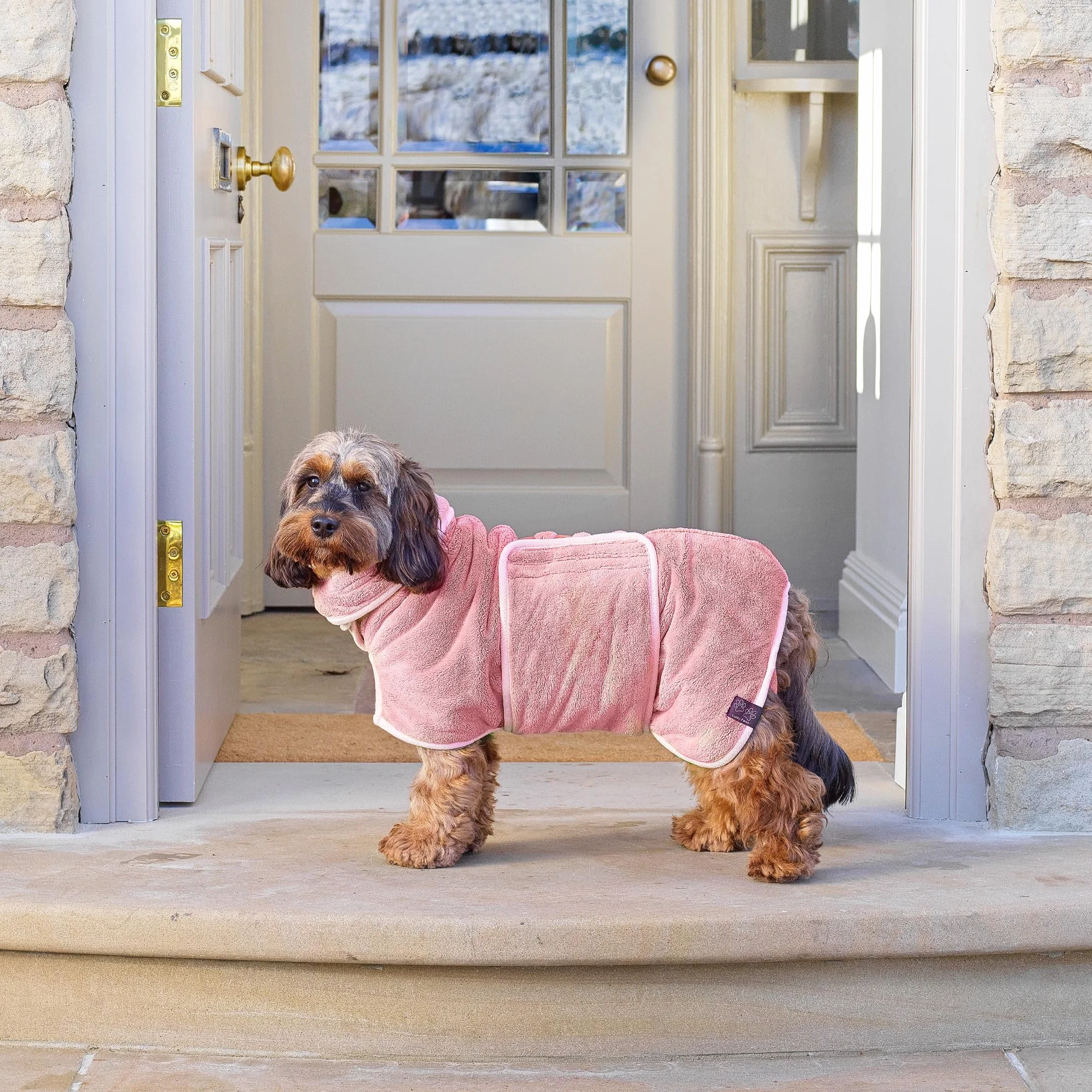 Lucky Paws® Accappatoio per cani UK – Lussuoso asciugamano a doppio strato – asciuga i cani in pochi minuti – accappatoio ultra assorbente e super morbido (S, rosa polvere)