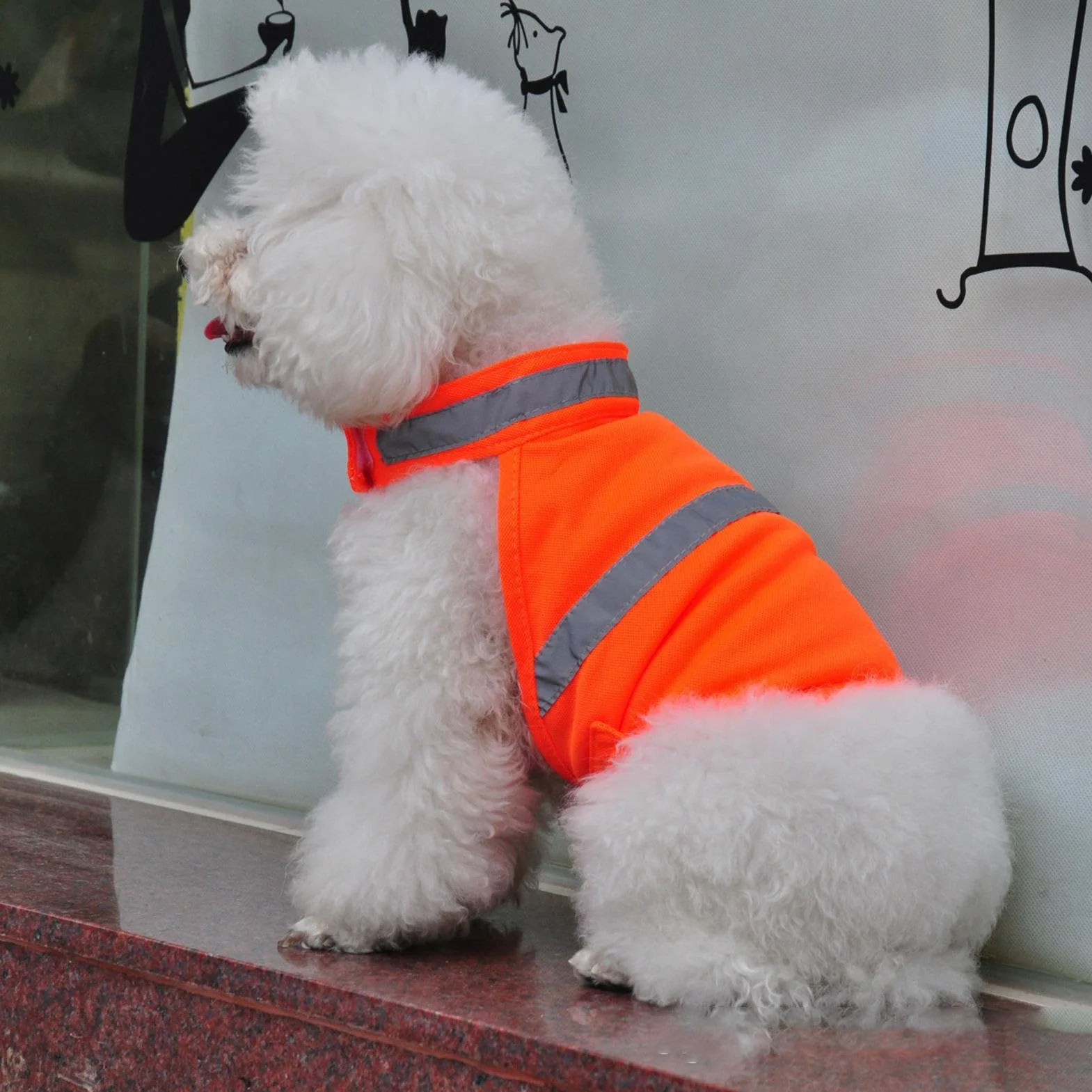 Gilet riflettente per cani,Gilet arancione fluorescente per cani di visibilità per riflettente e traspirante - Forniture per animali domestici comode e leggere per attività all'aperto, cacc
